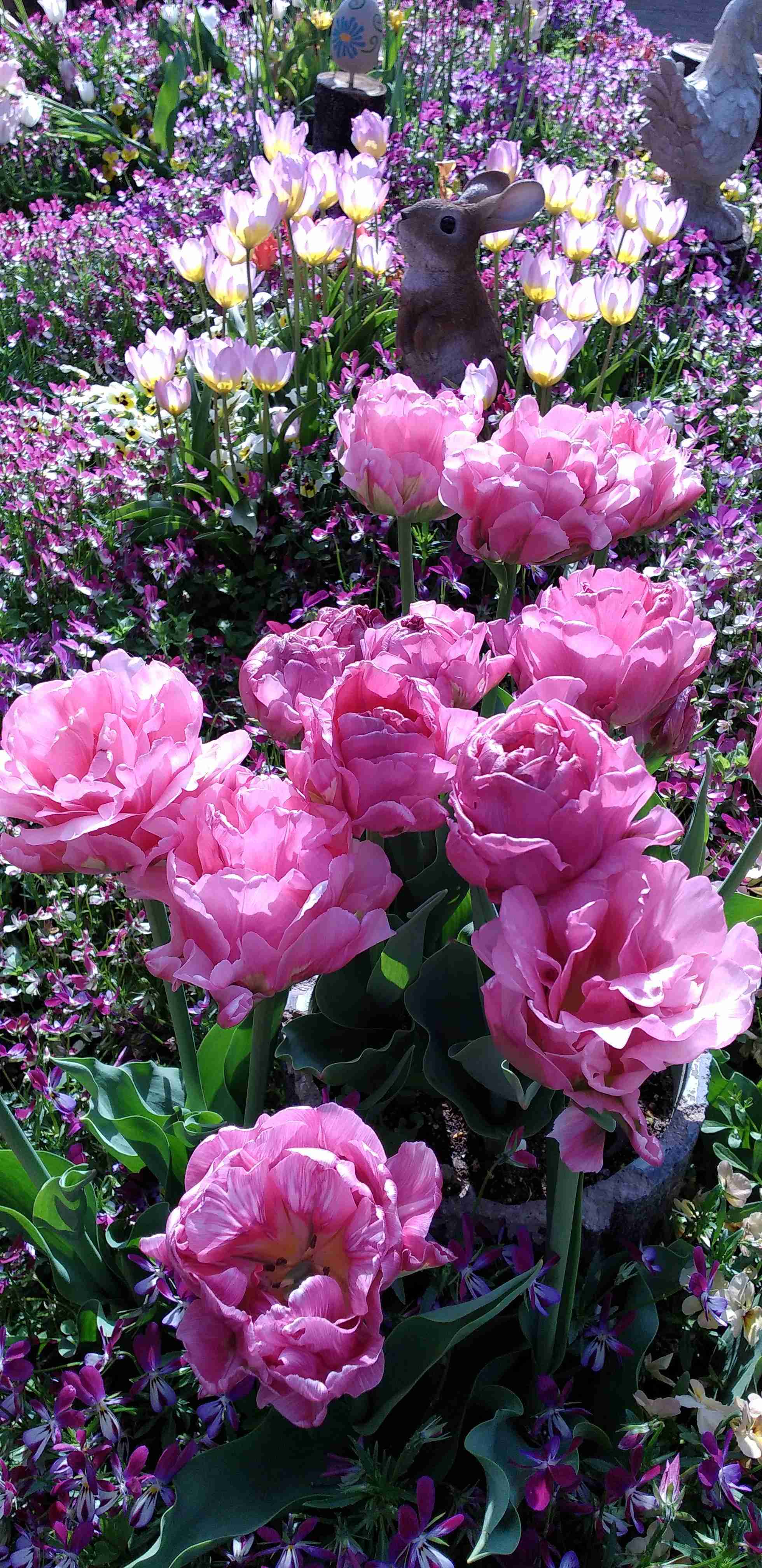 あなたが撮ったベストショット