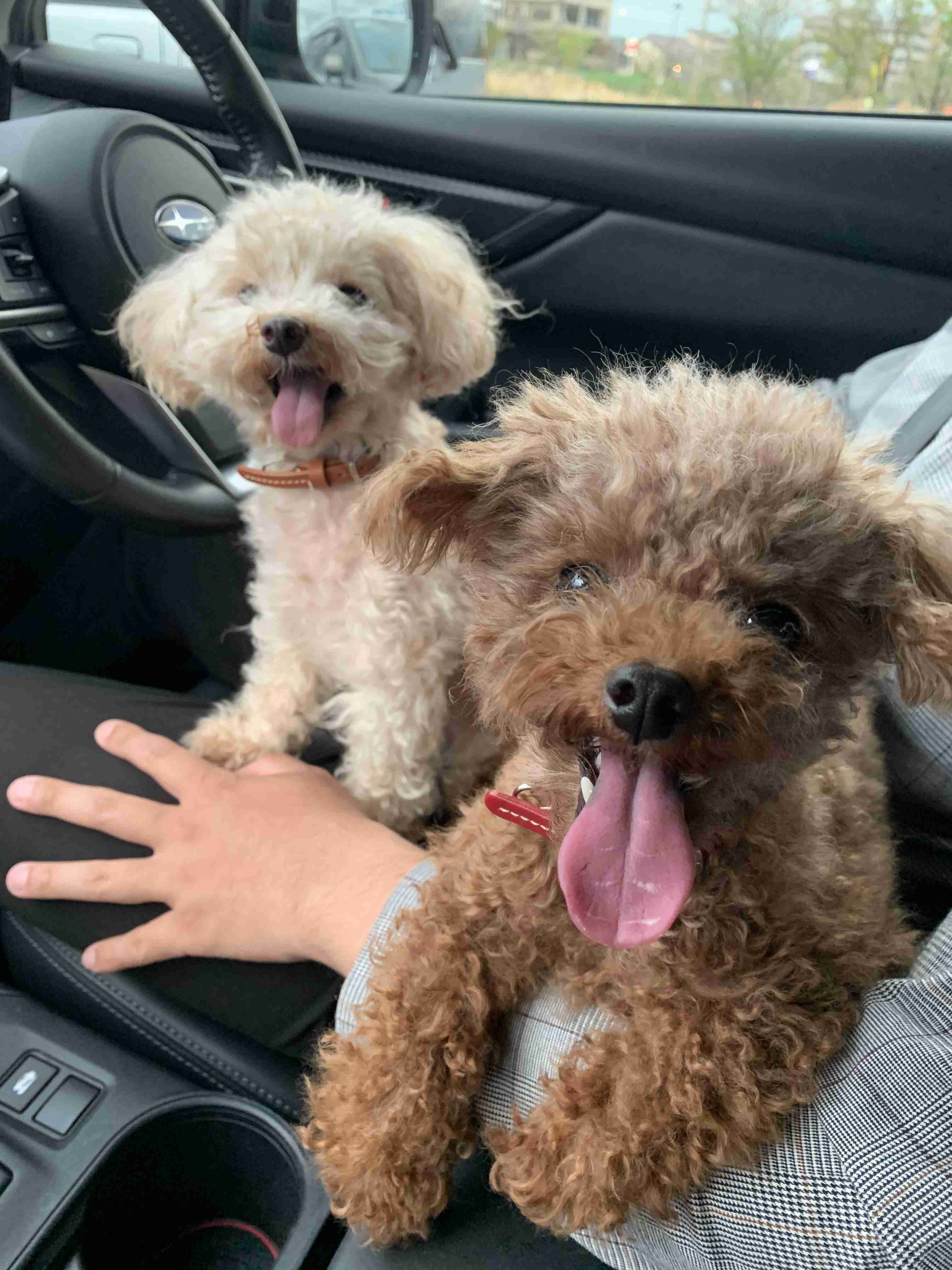 あなたが撮ったベストショット