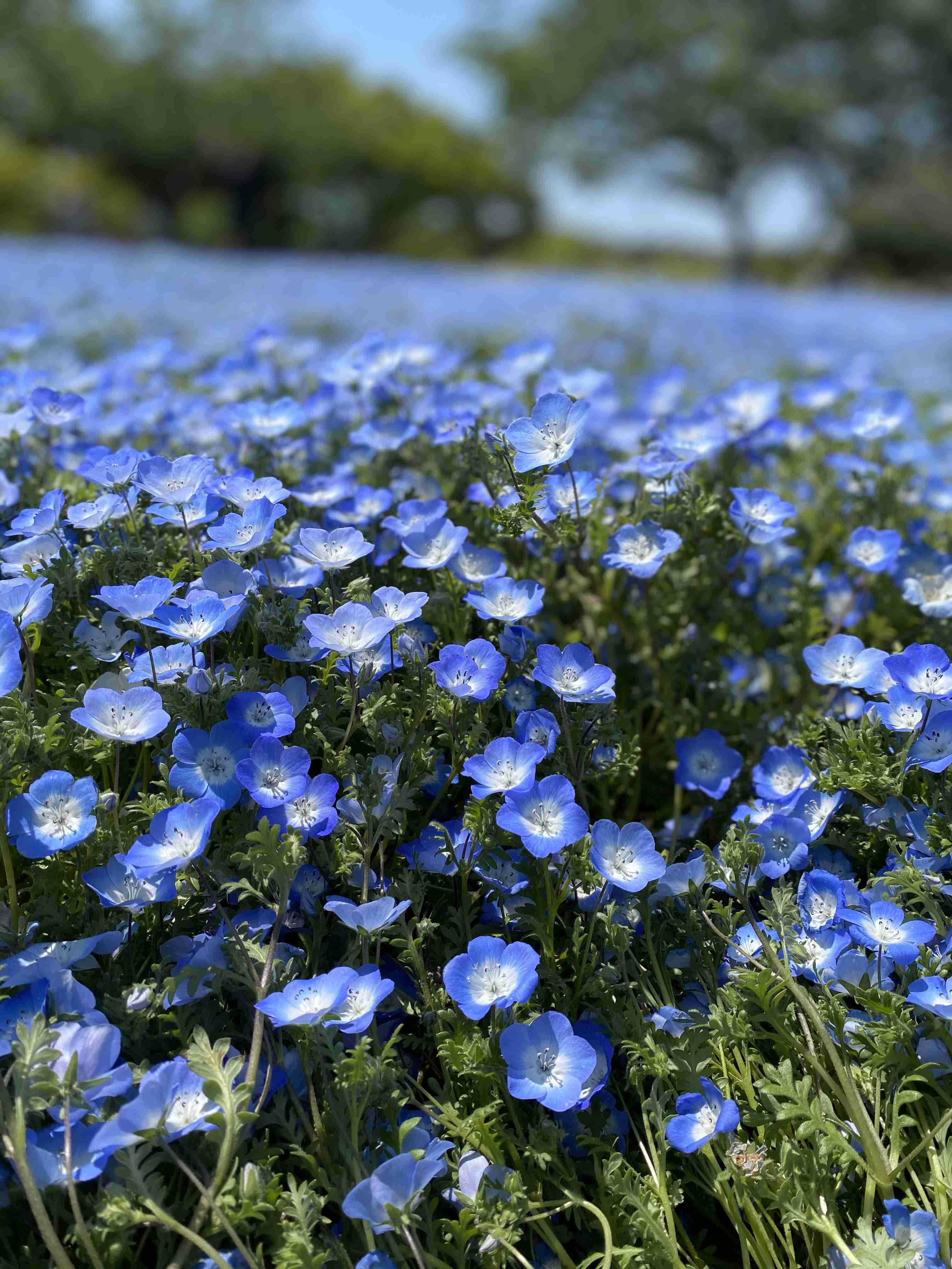 あなたが撮ったベストショット