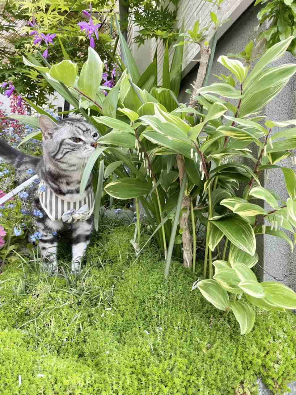 あなたが撮ったベストショット