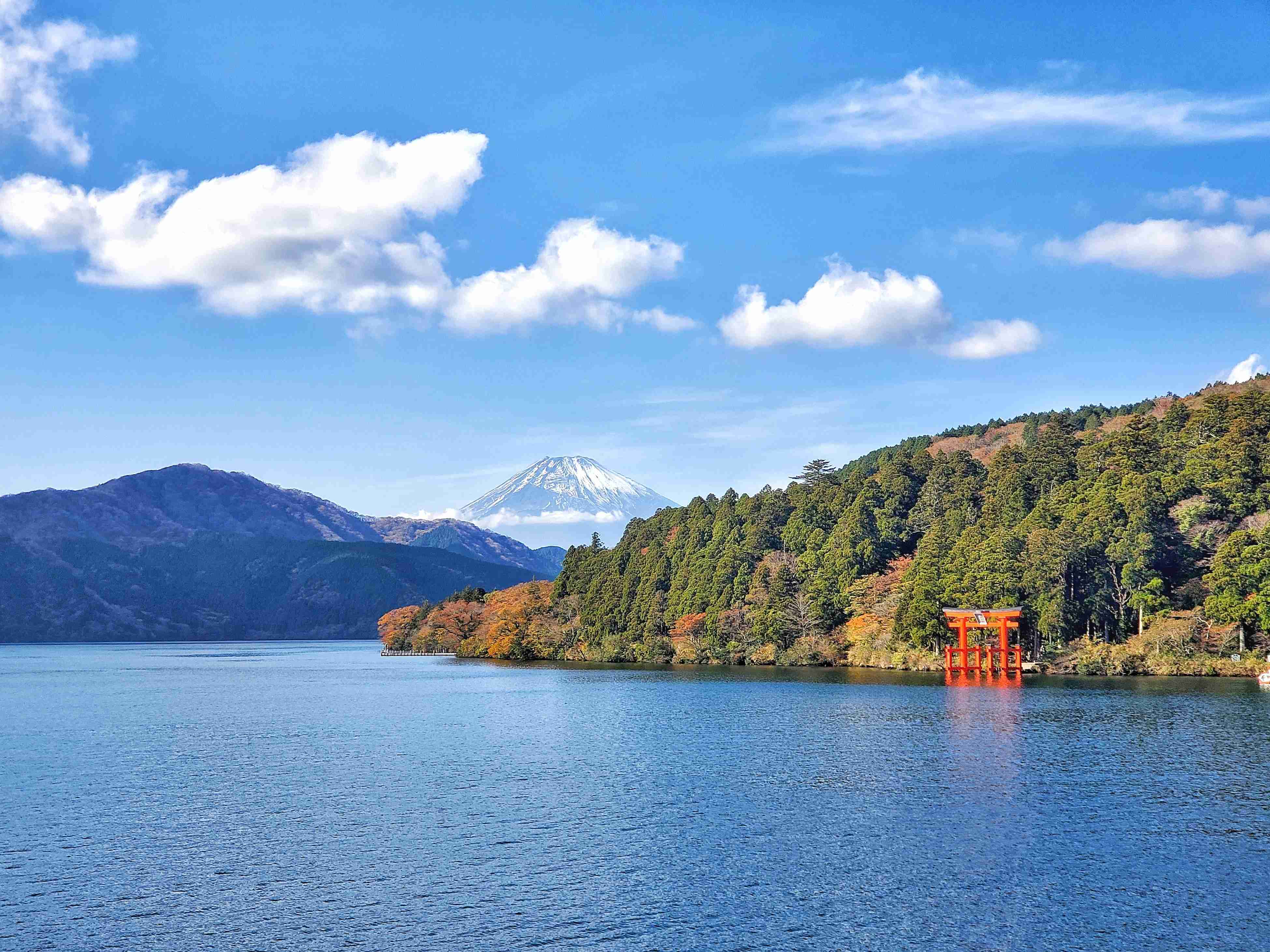 あなたが撮ったベストショット