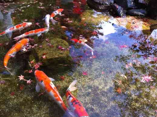 あなたが撮ったベストショット