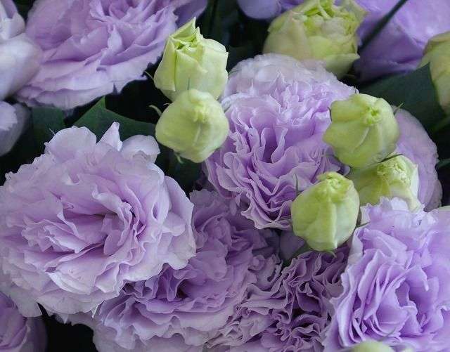 あなたが撮ったベストショット