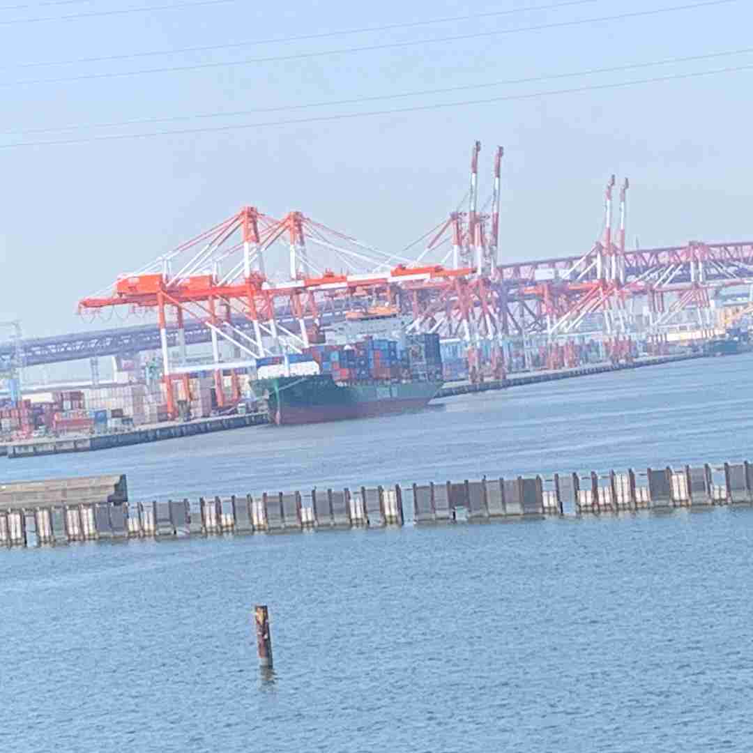 あなたが撮ったベストショット