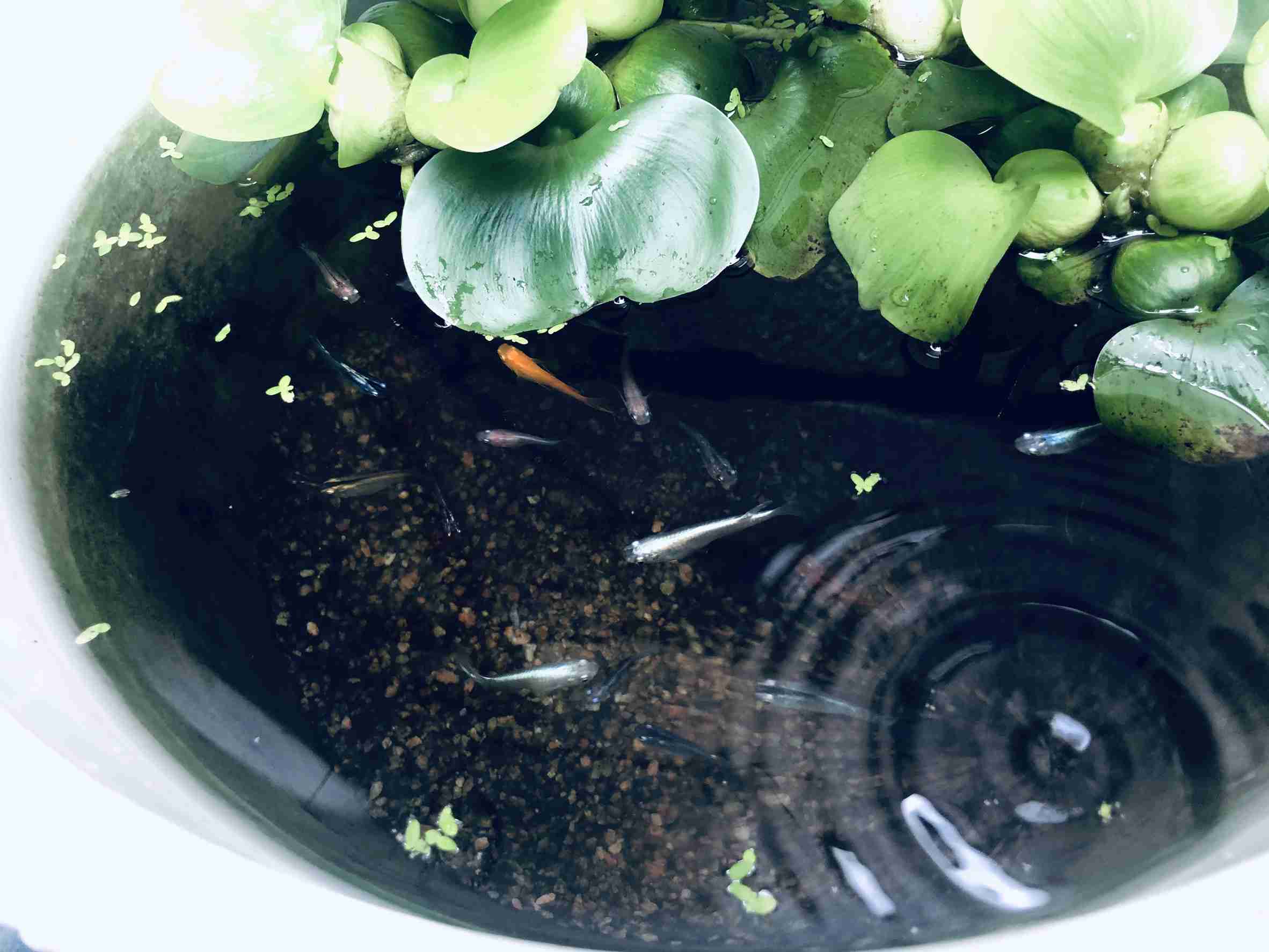 あなたが撮ったベストショット