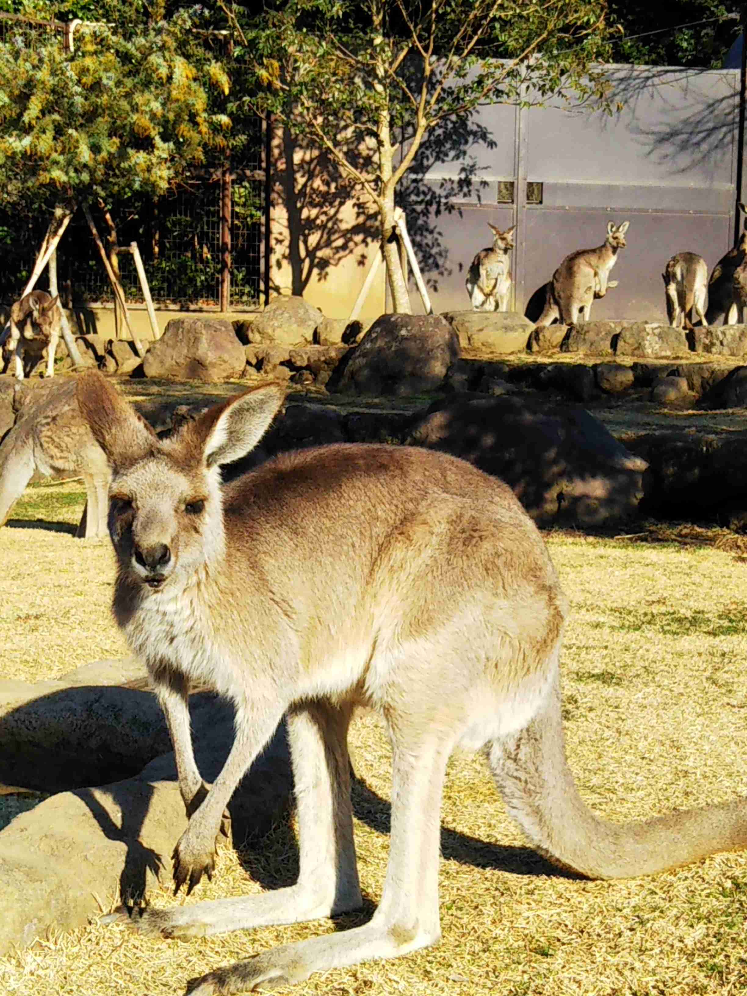 あなたが撮ったベストショット