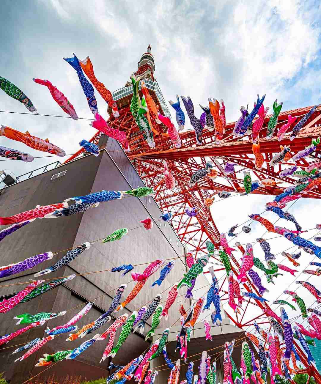 あなたが撮ったベストショット