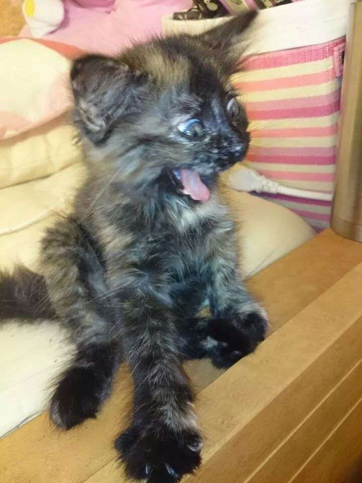 あなたが撮ったベストショット