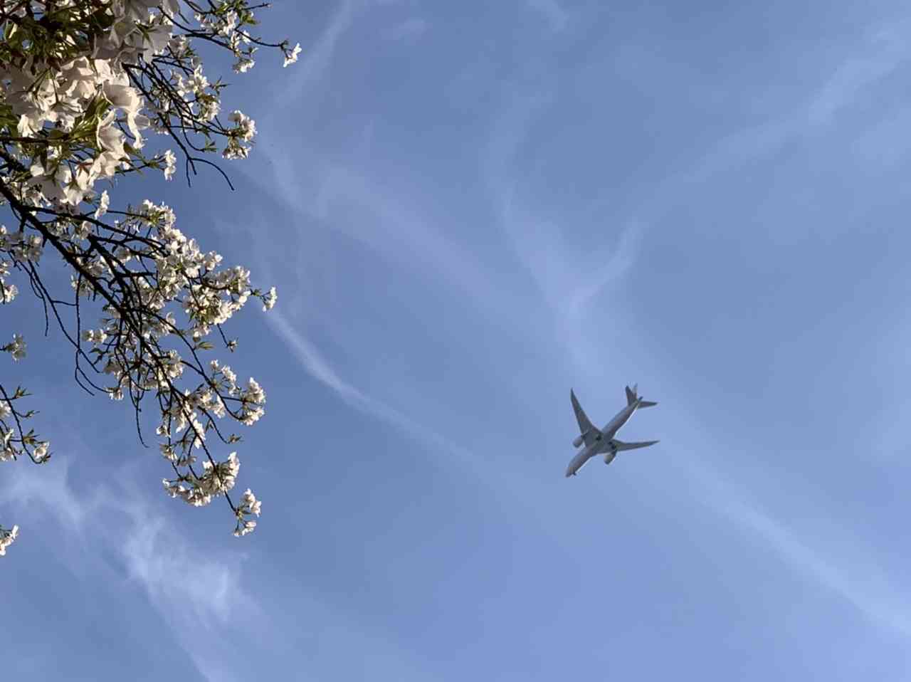 あなたが撮ったベストショット