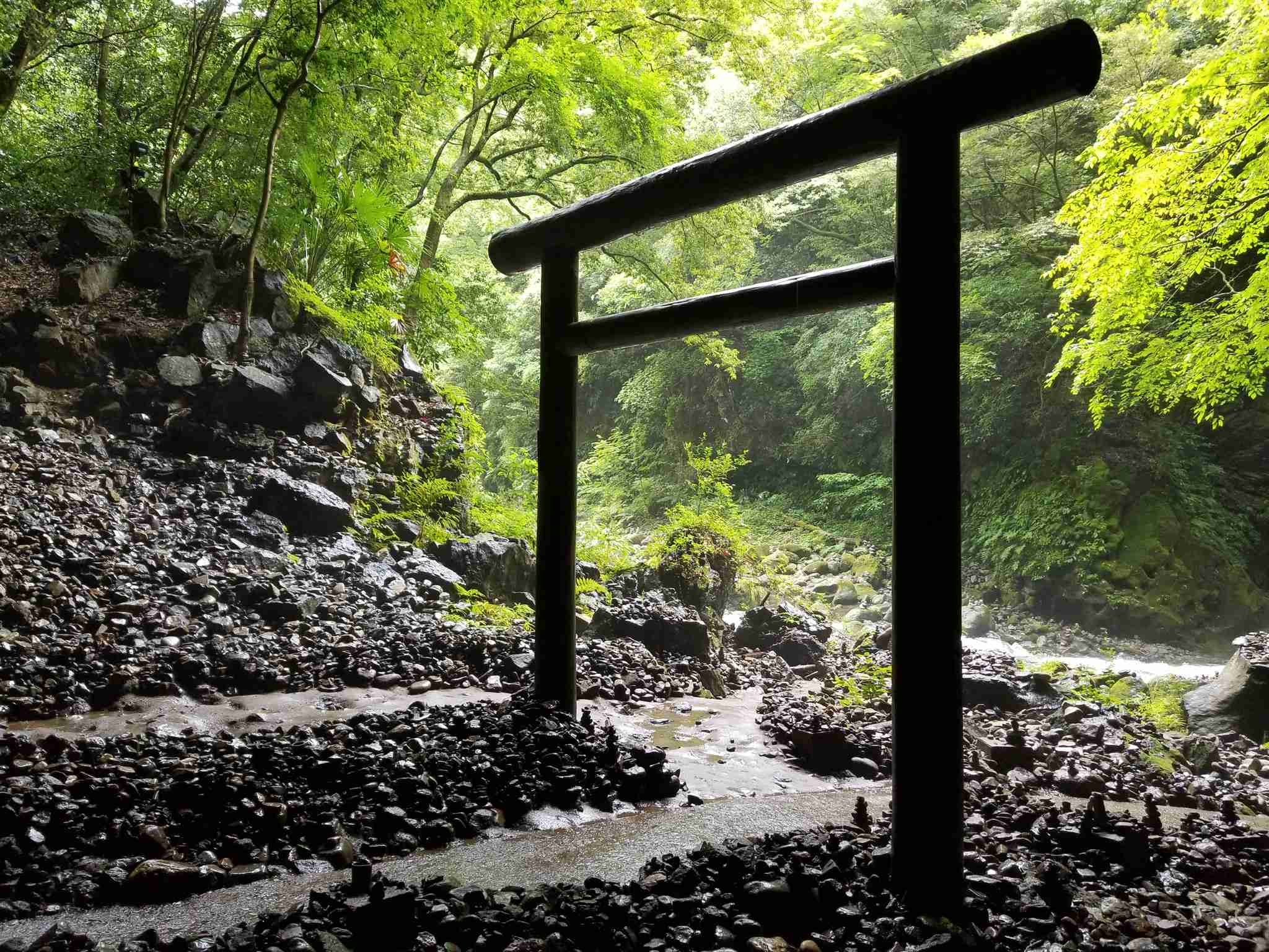 あなたが撮ったベストショット