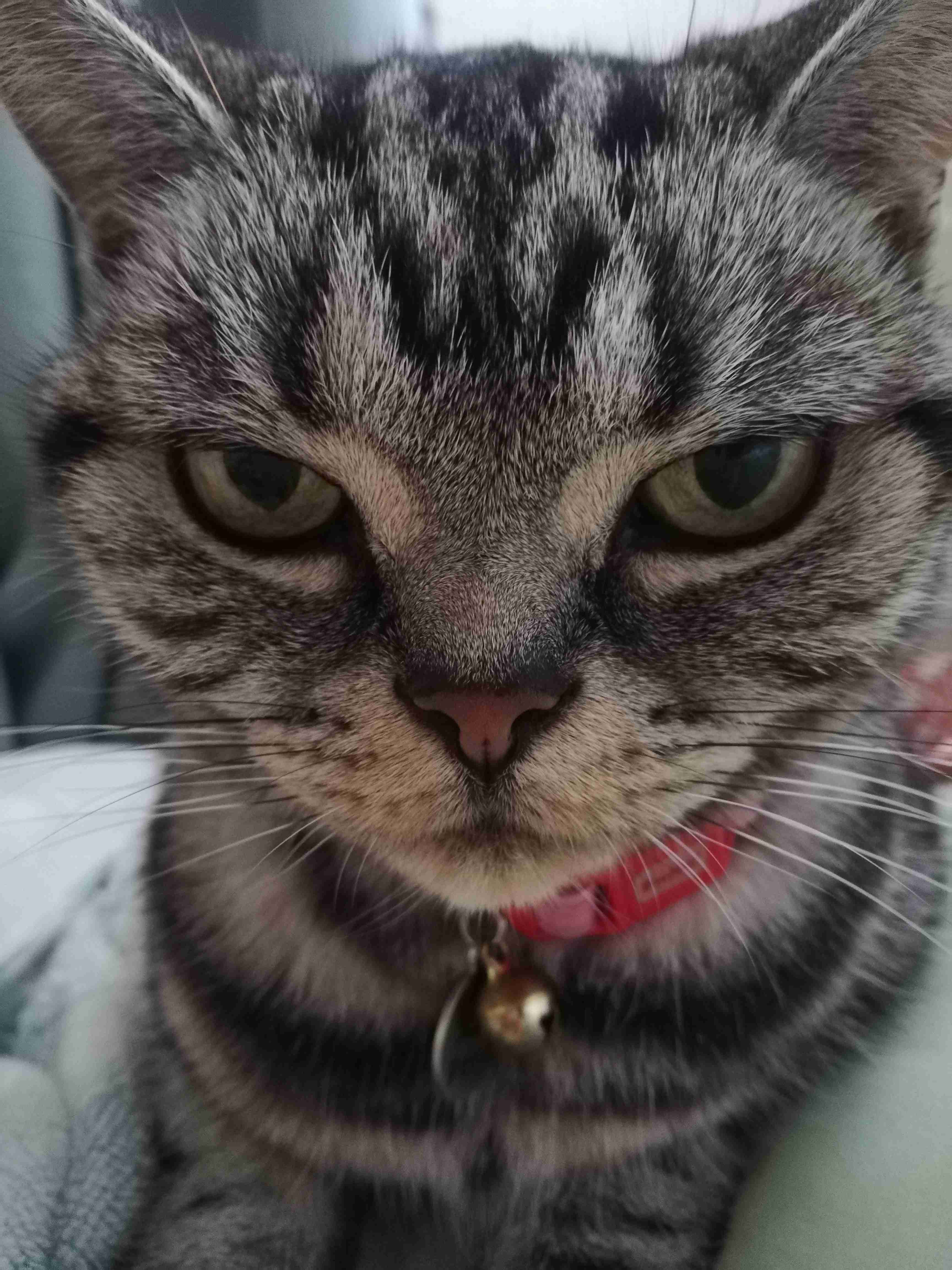 あなたが撮ったベストショット