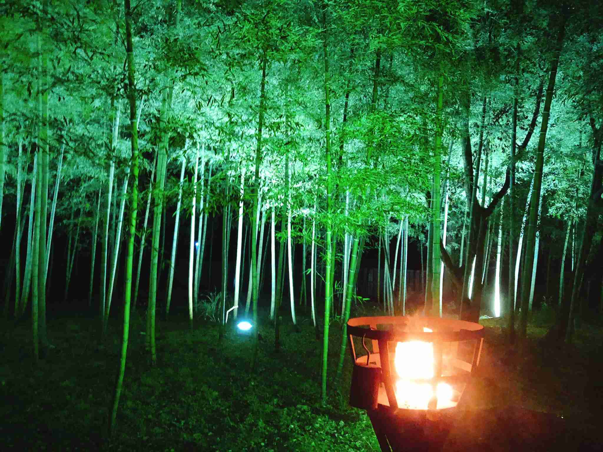 あなたが撮ったベストショット