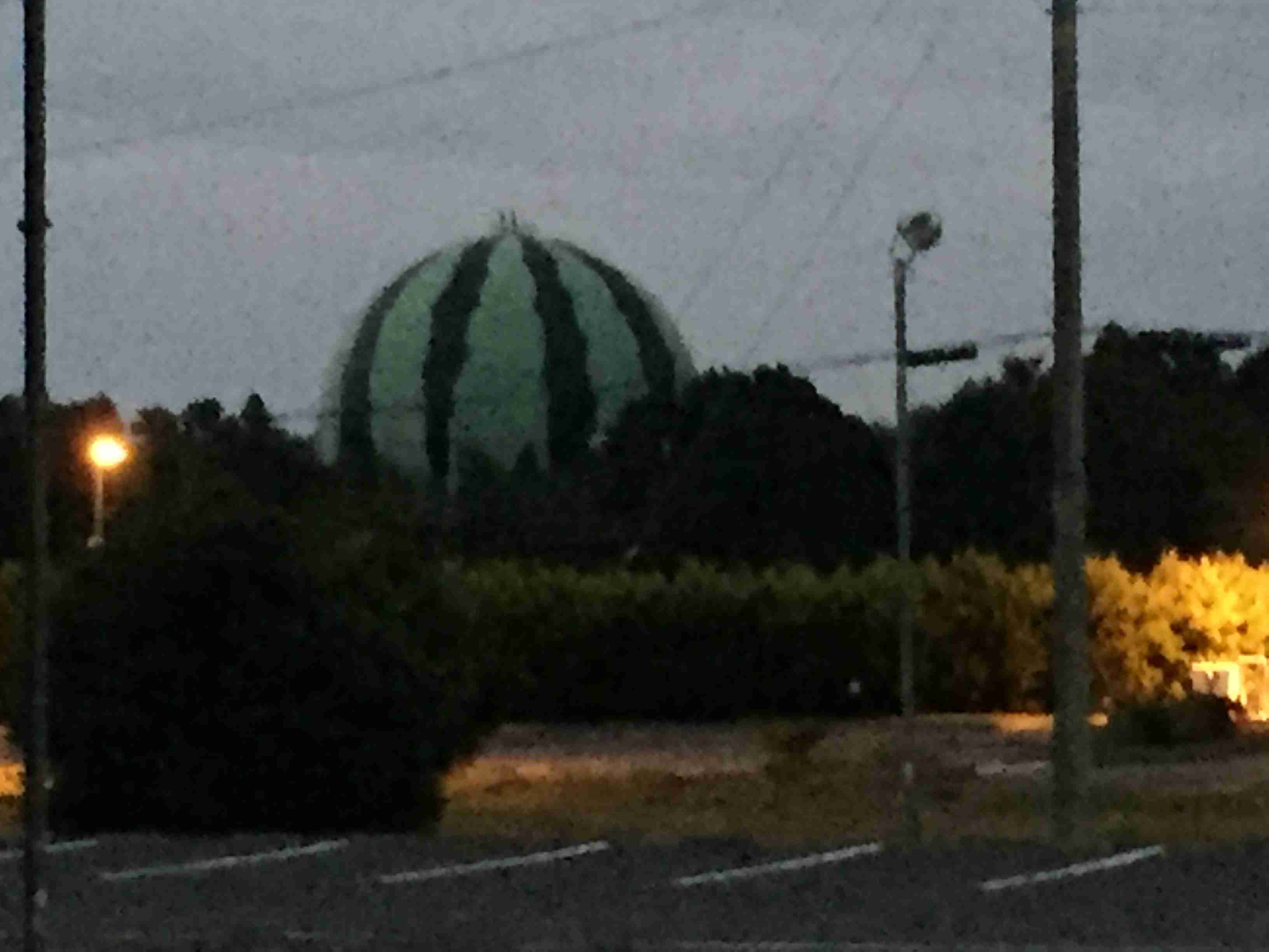 あなたが撮ったベストショット