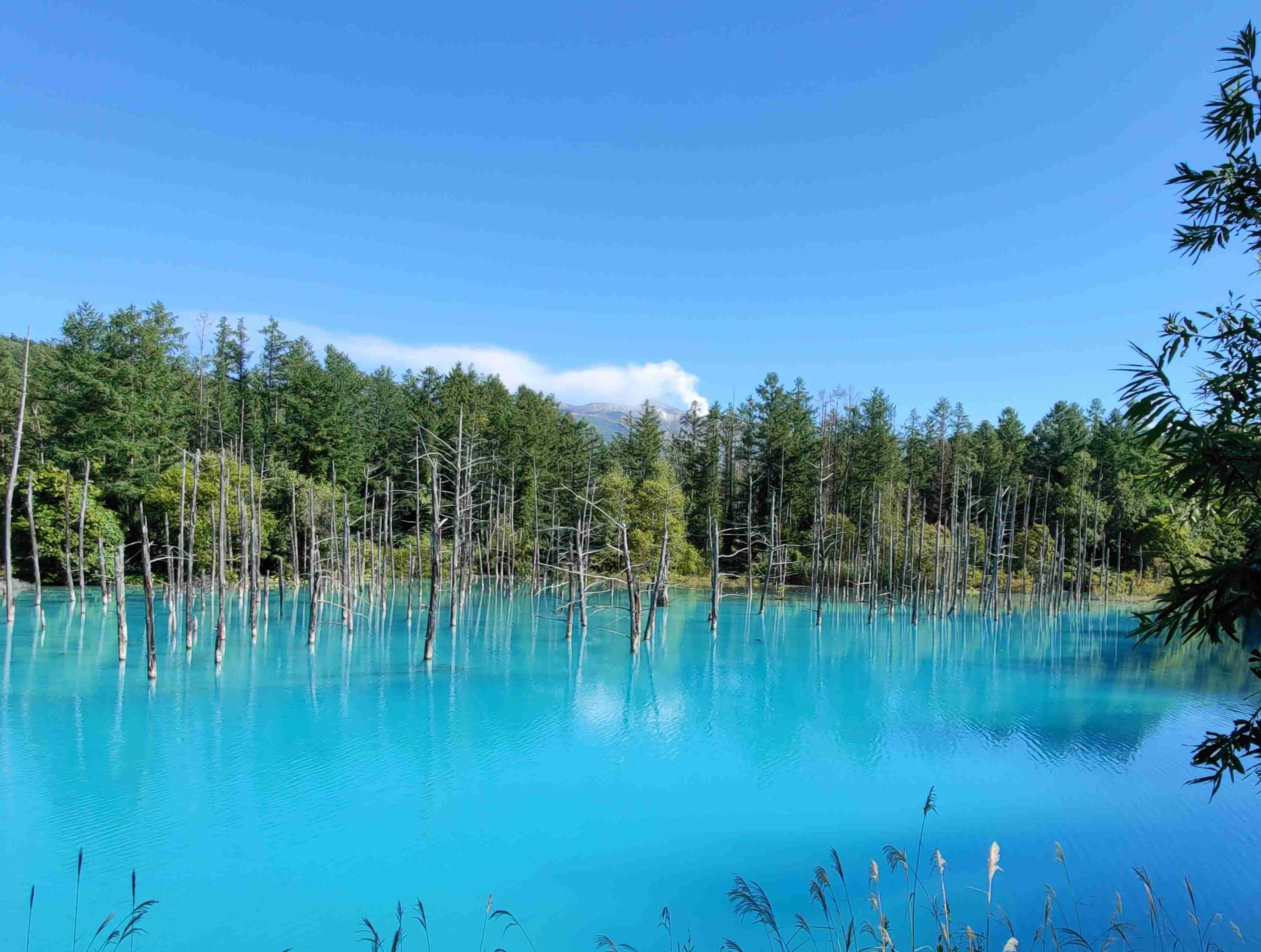 あなたが撮ったベストショット