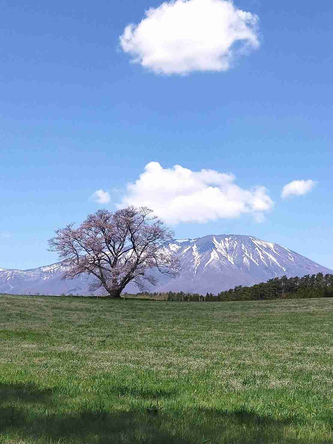 あなたが撮ったベストショット