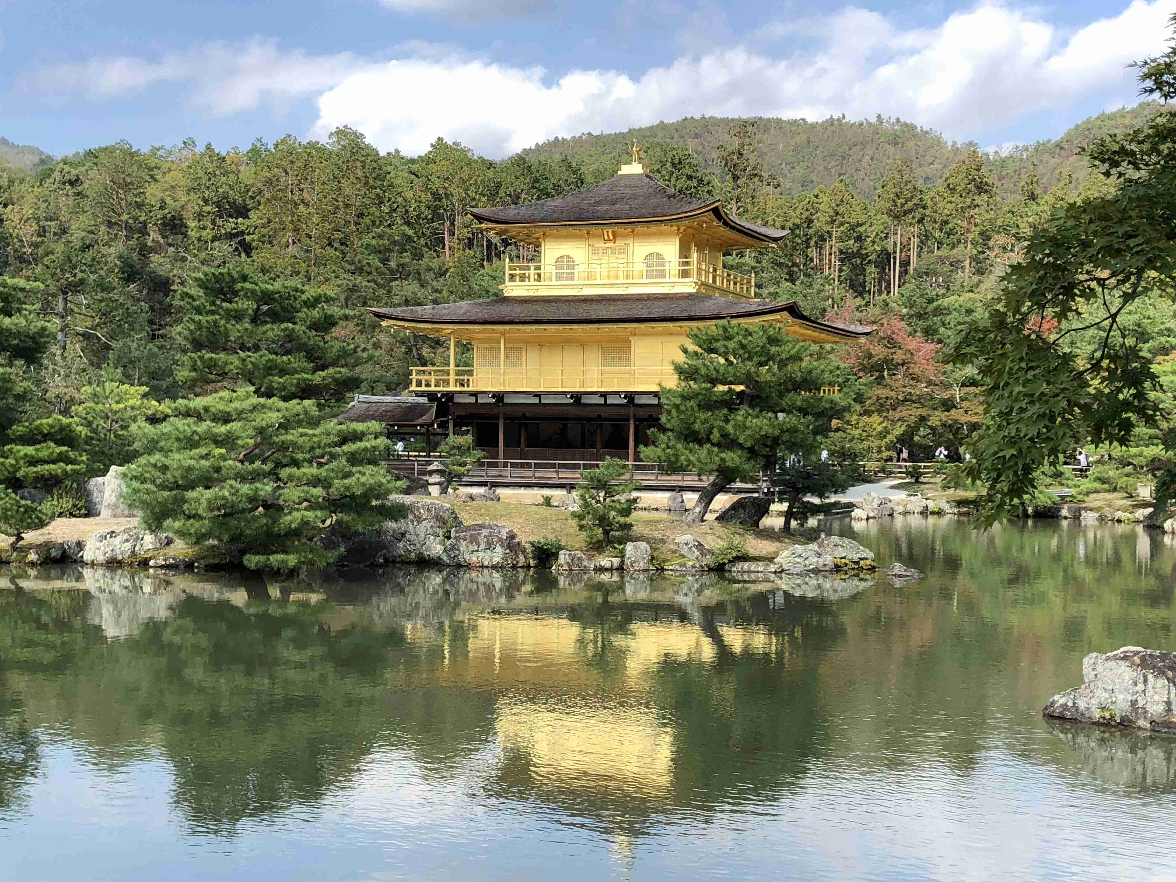 あなたが撮ったベストショット