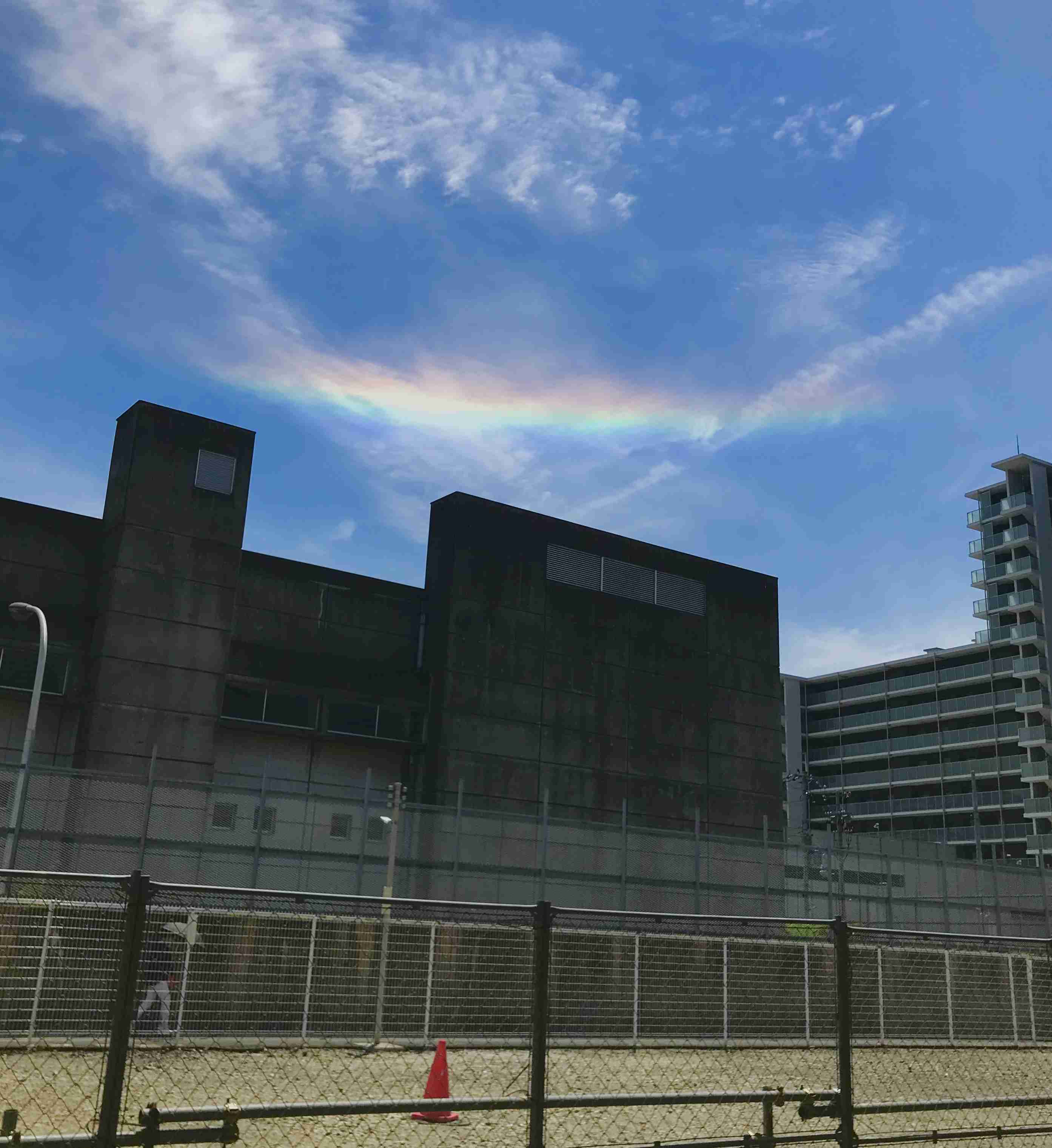 あなたが撮ったベストショット