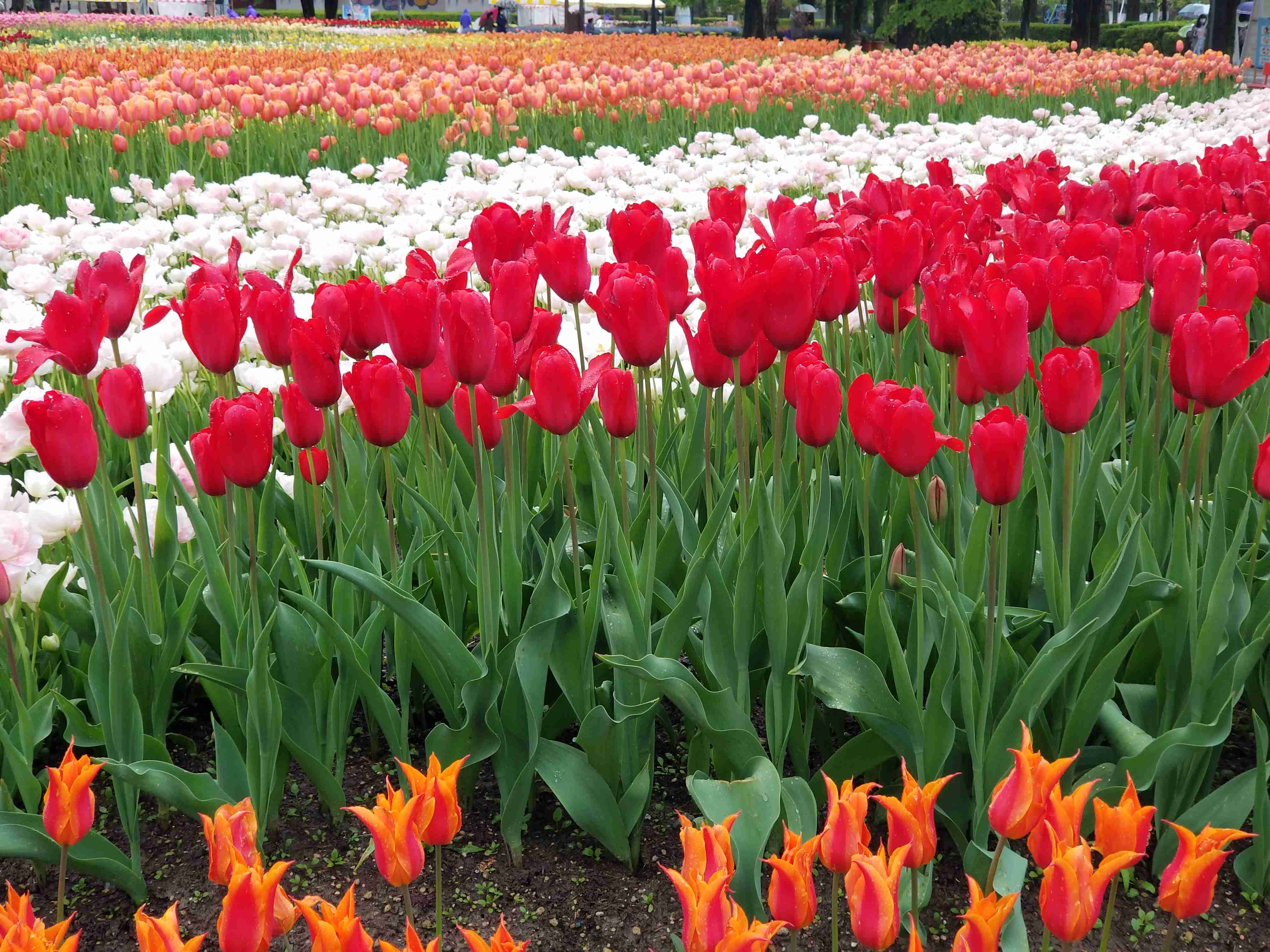 あなたが撮ったベストショット