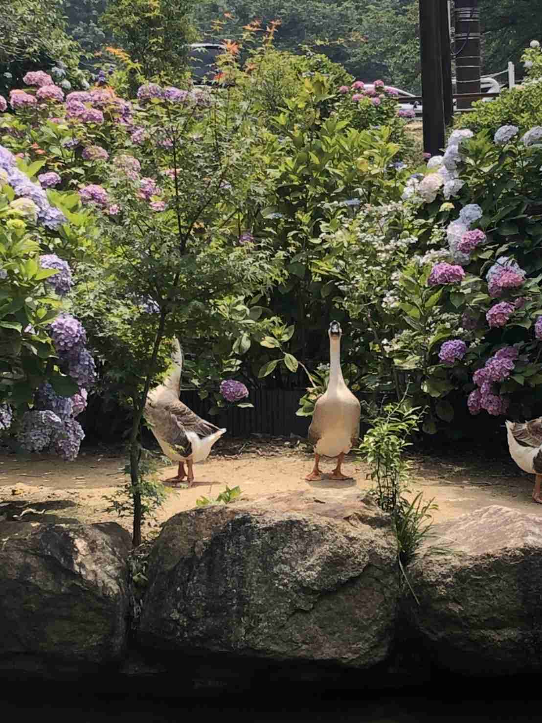 あなたが撮ったベストショット