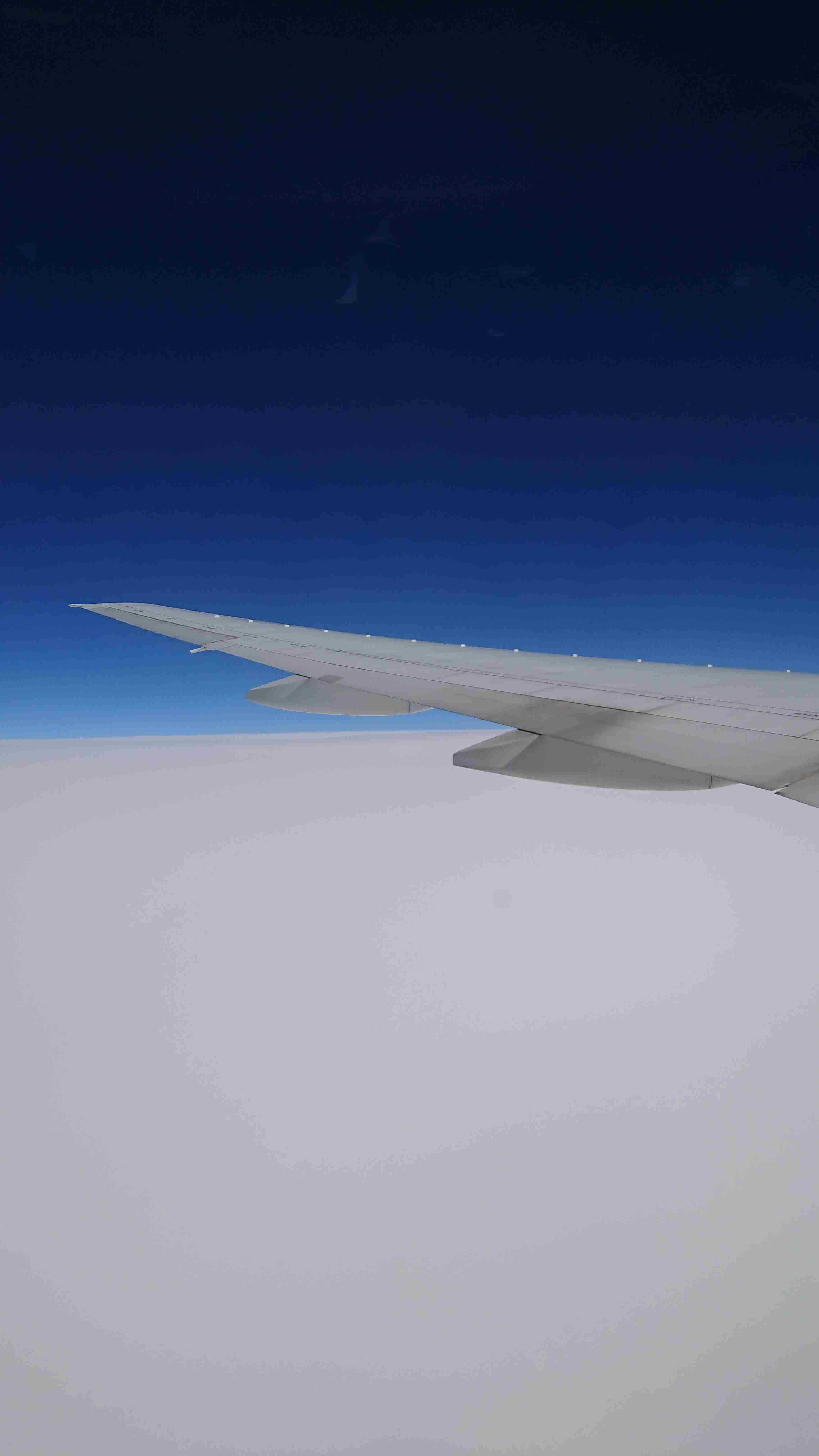 あなたが撮ったベストショット