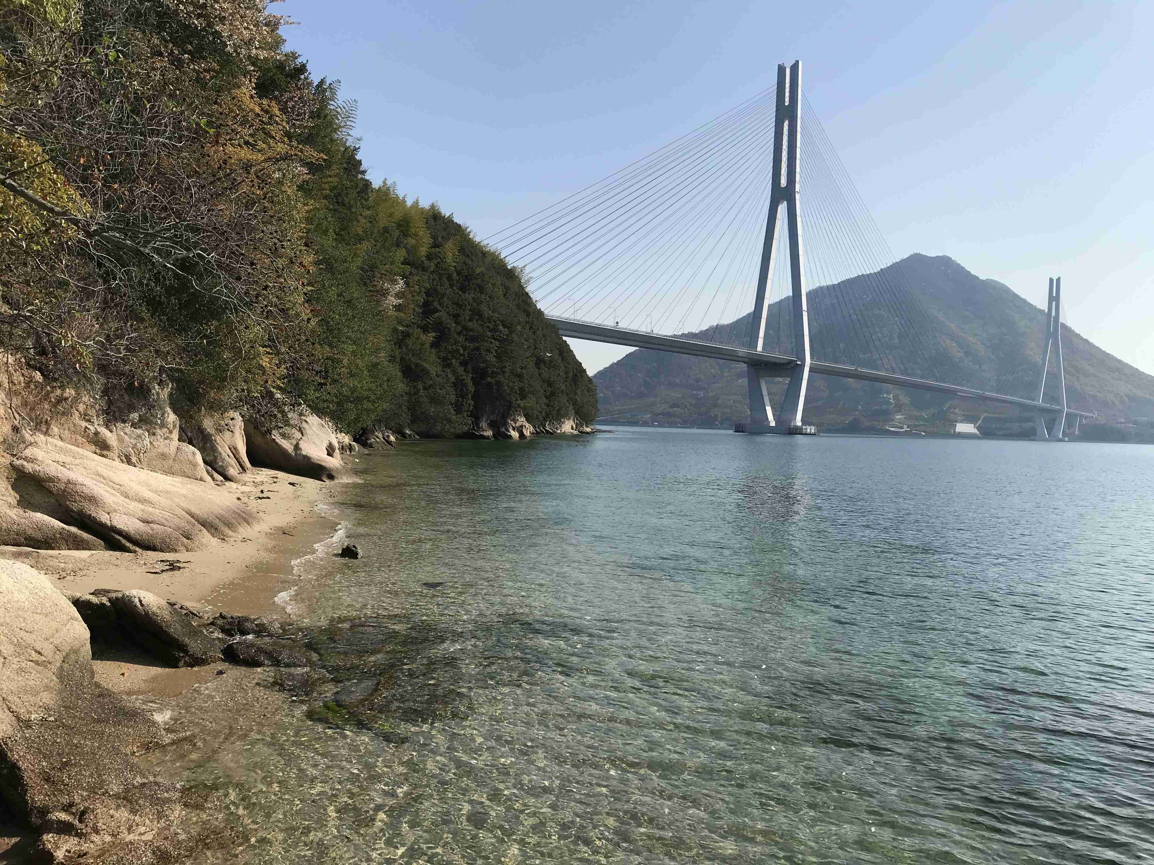 あなたが撮ったベストショット