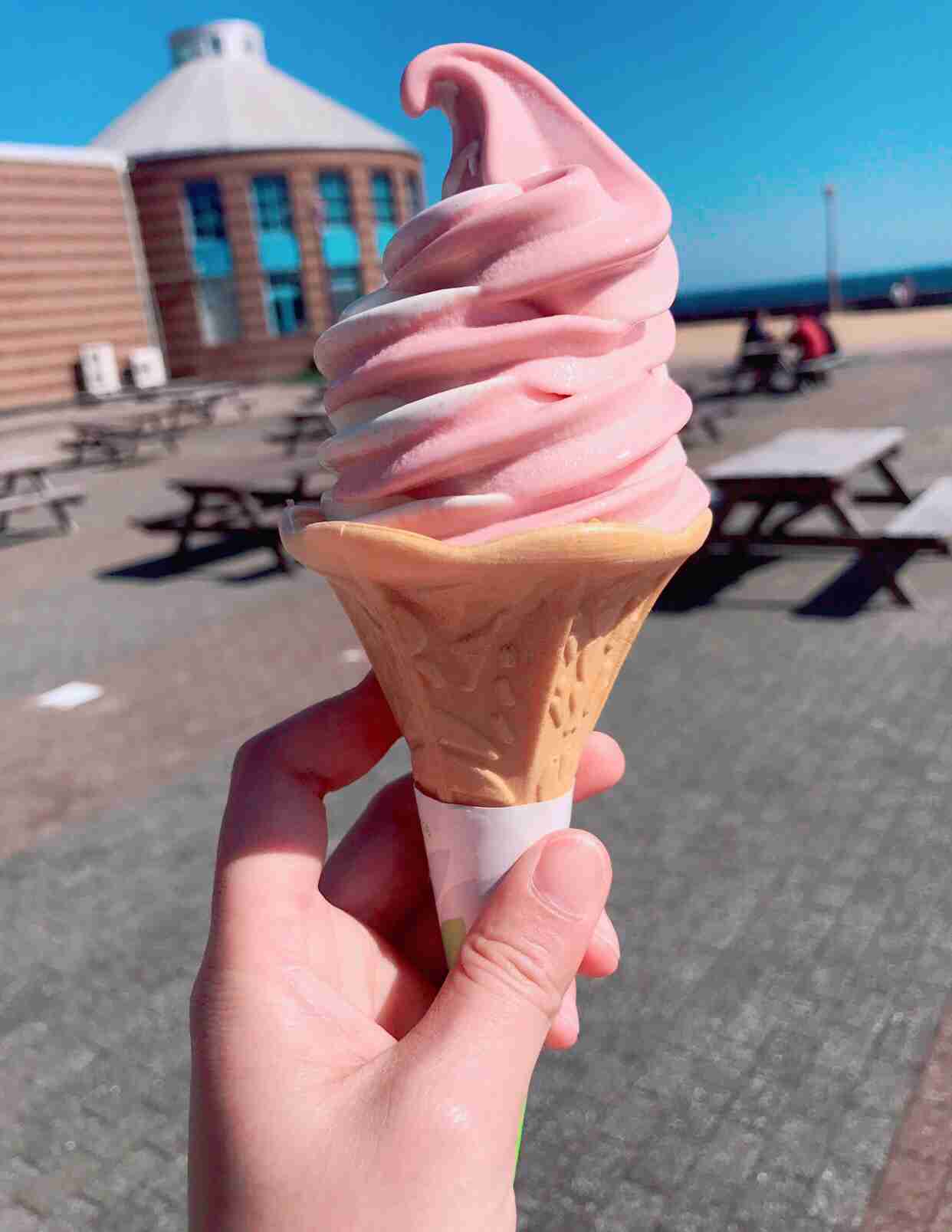 あなたが撮ったベストショット