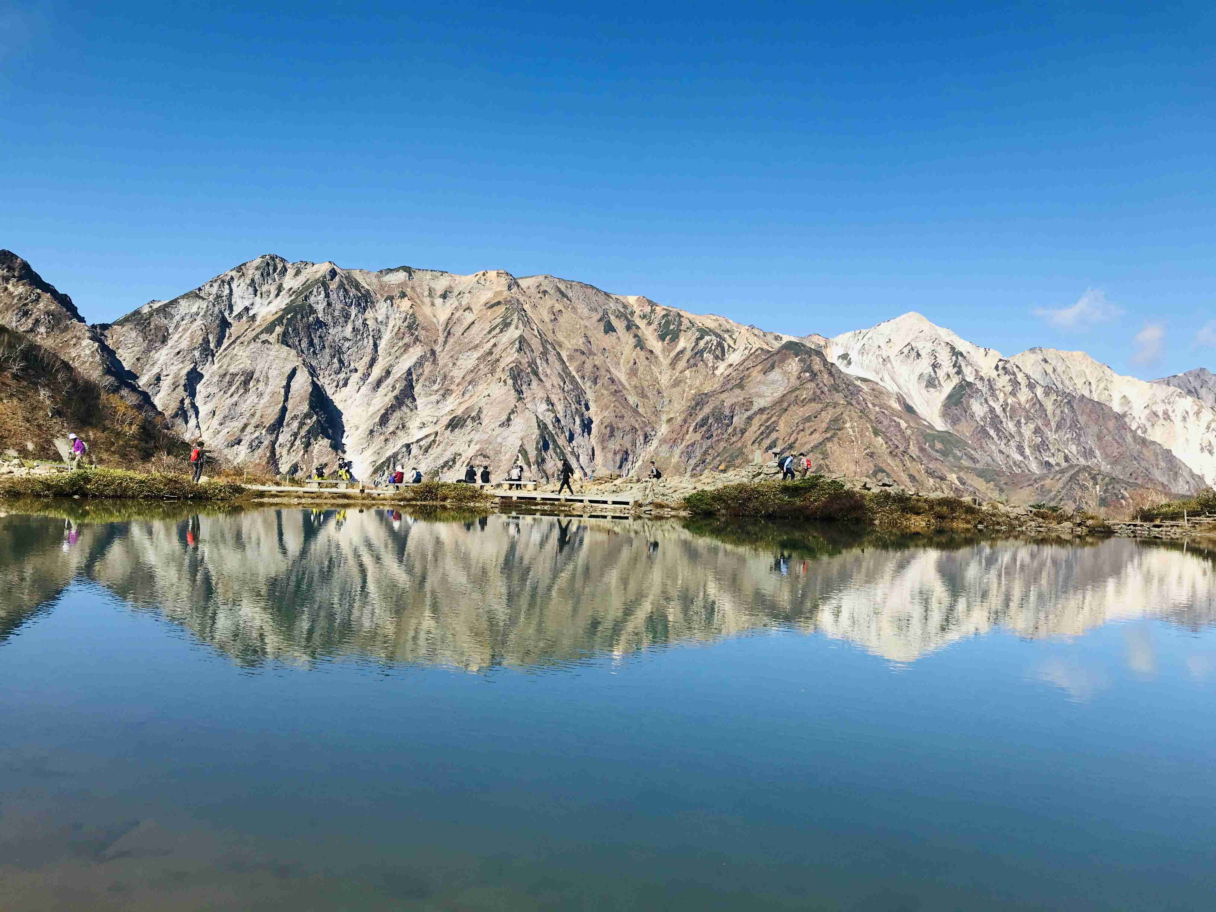 あなたが撮ったベストショット