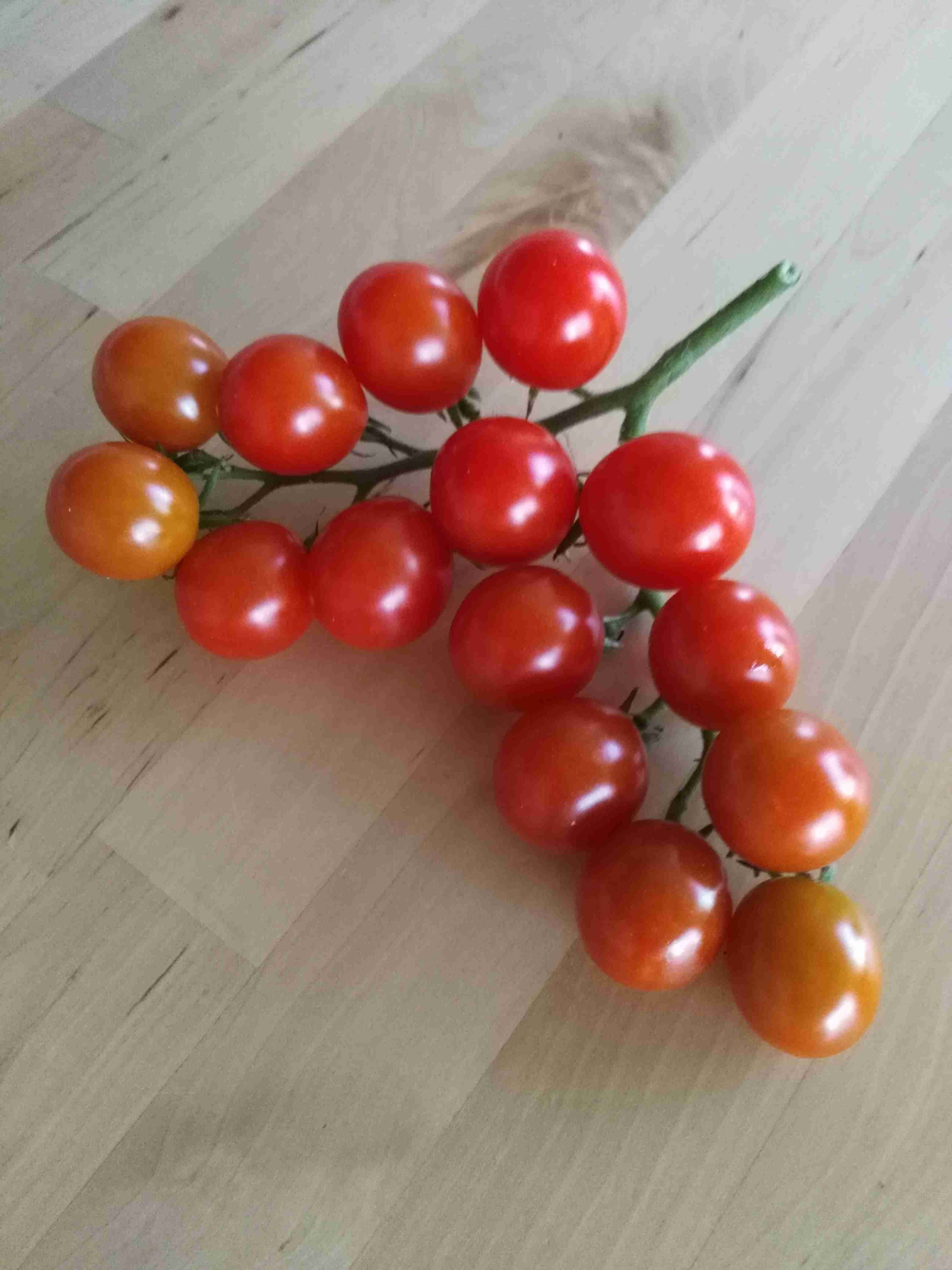 あなたが撮ったベストショット