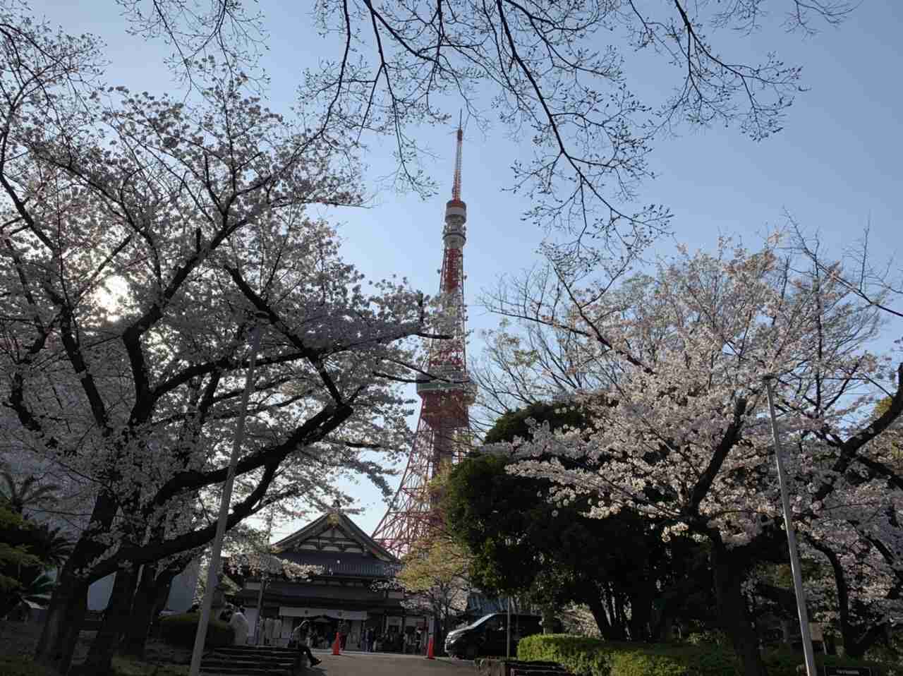 あなたが撮ったベストショット