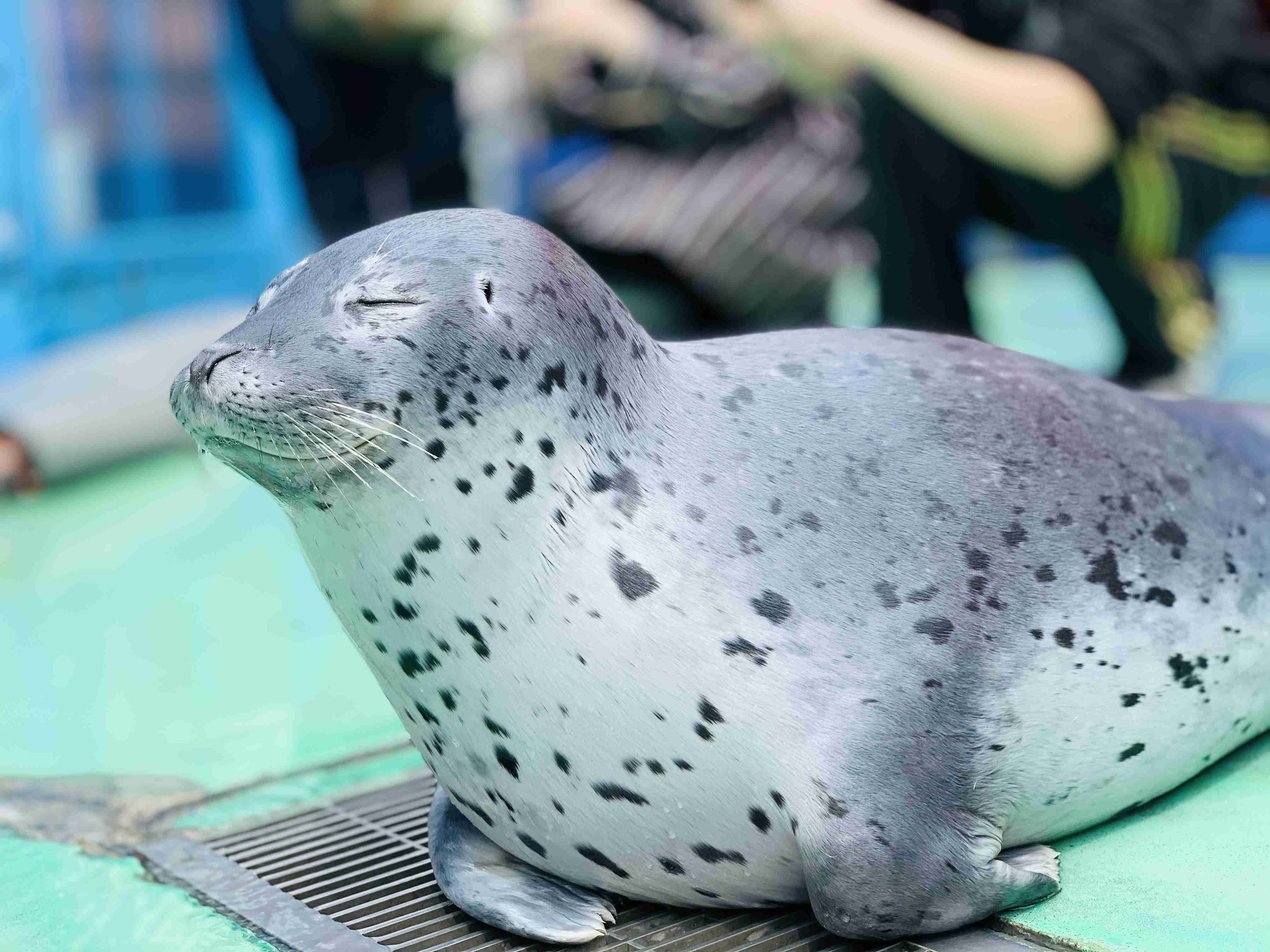 あなたが撮ったベストショット