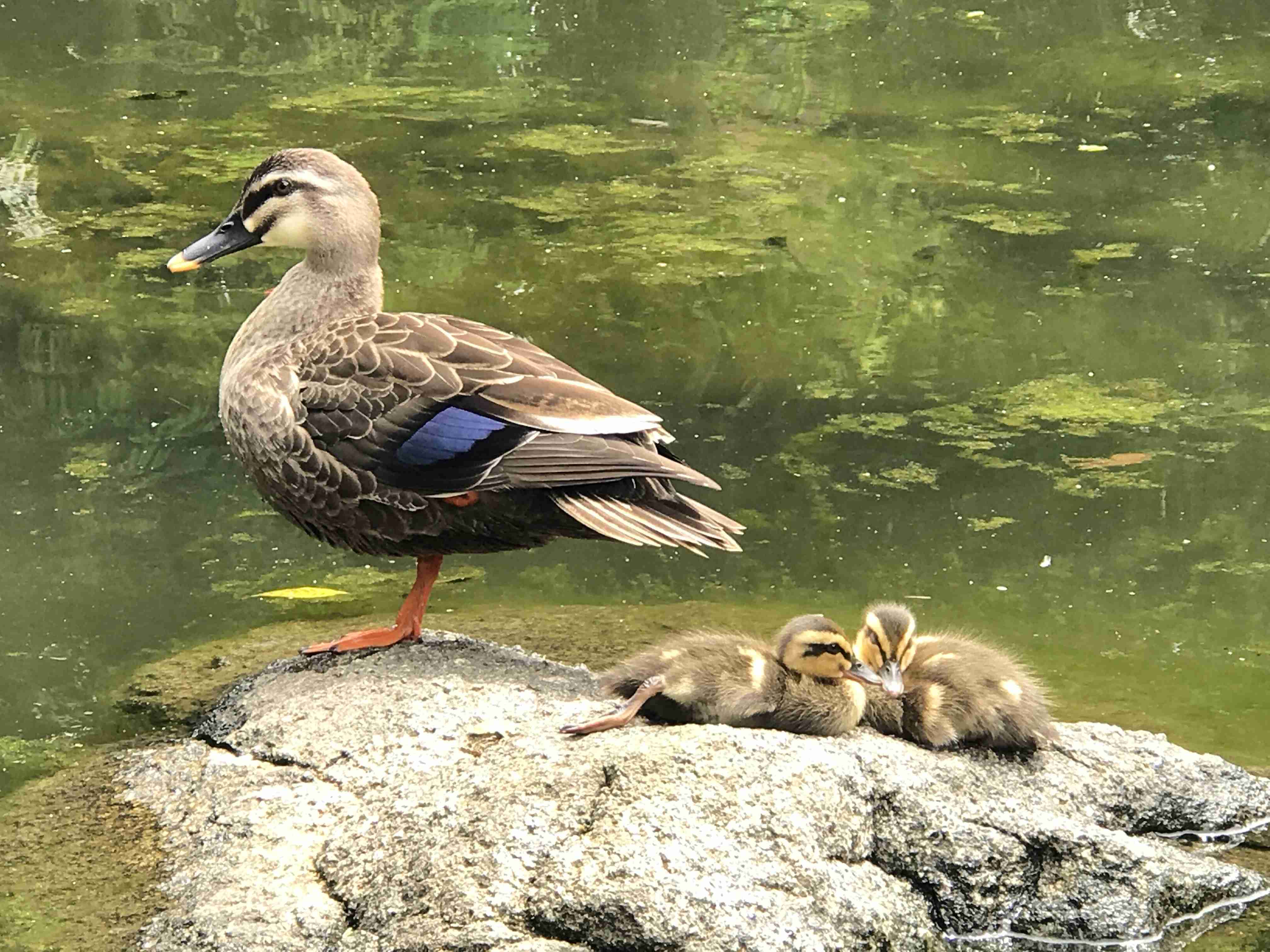 あなたが撮ったベストショット