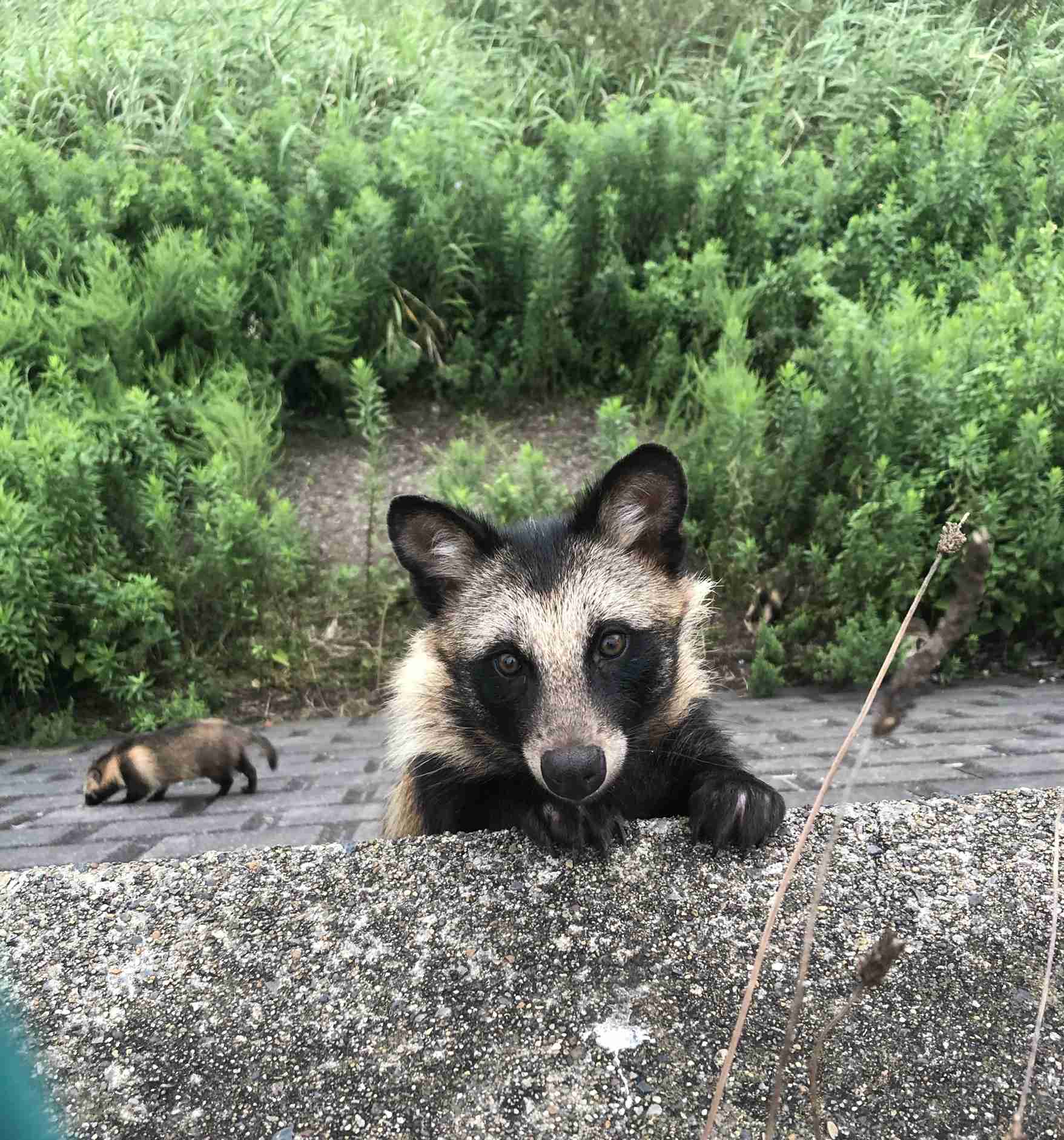 あなたが撮ったベストショット