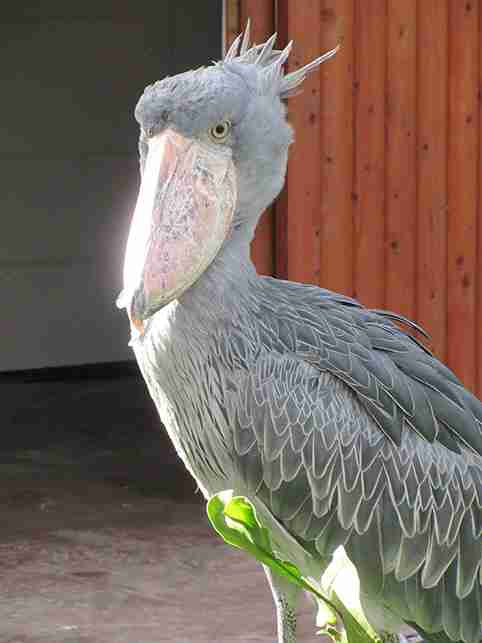 あなたが撮ったベストショット