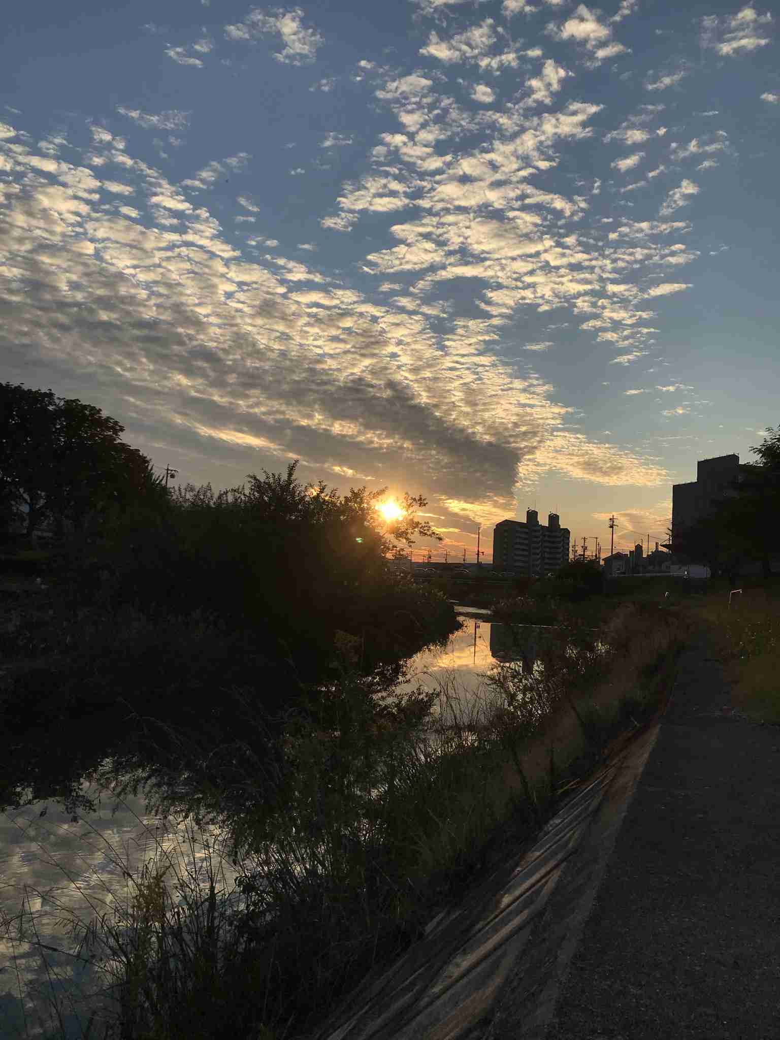 あなたが撮ったベストショット