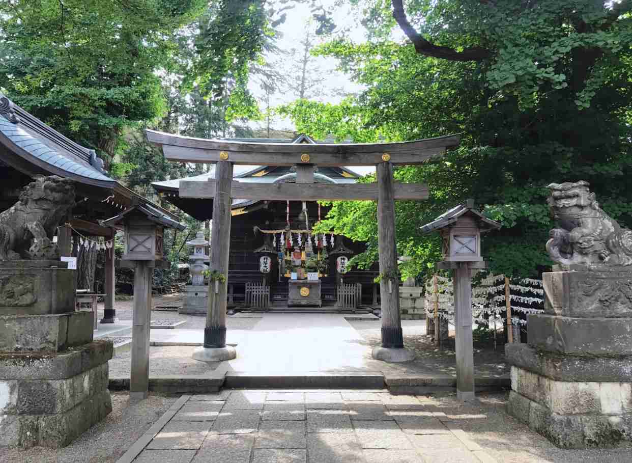 あなたが撮ったベストショット