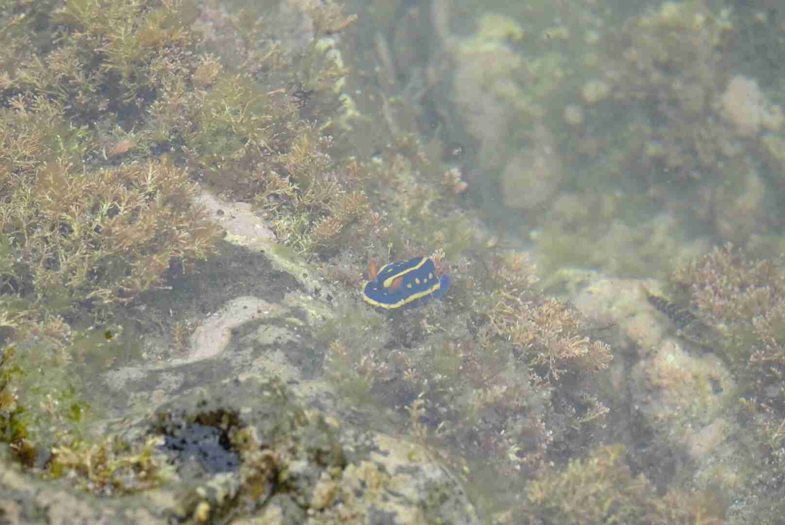 あなたが撮ったベストショット