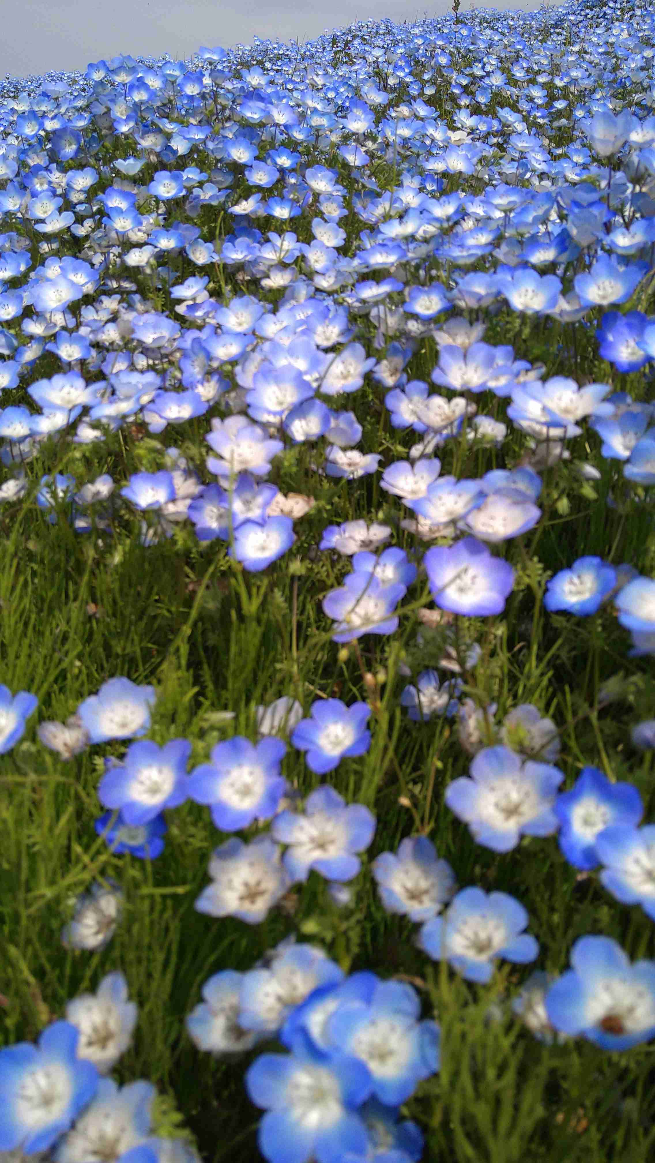 あなたが撮ったベストショット