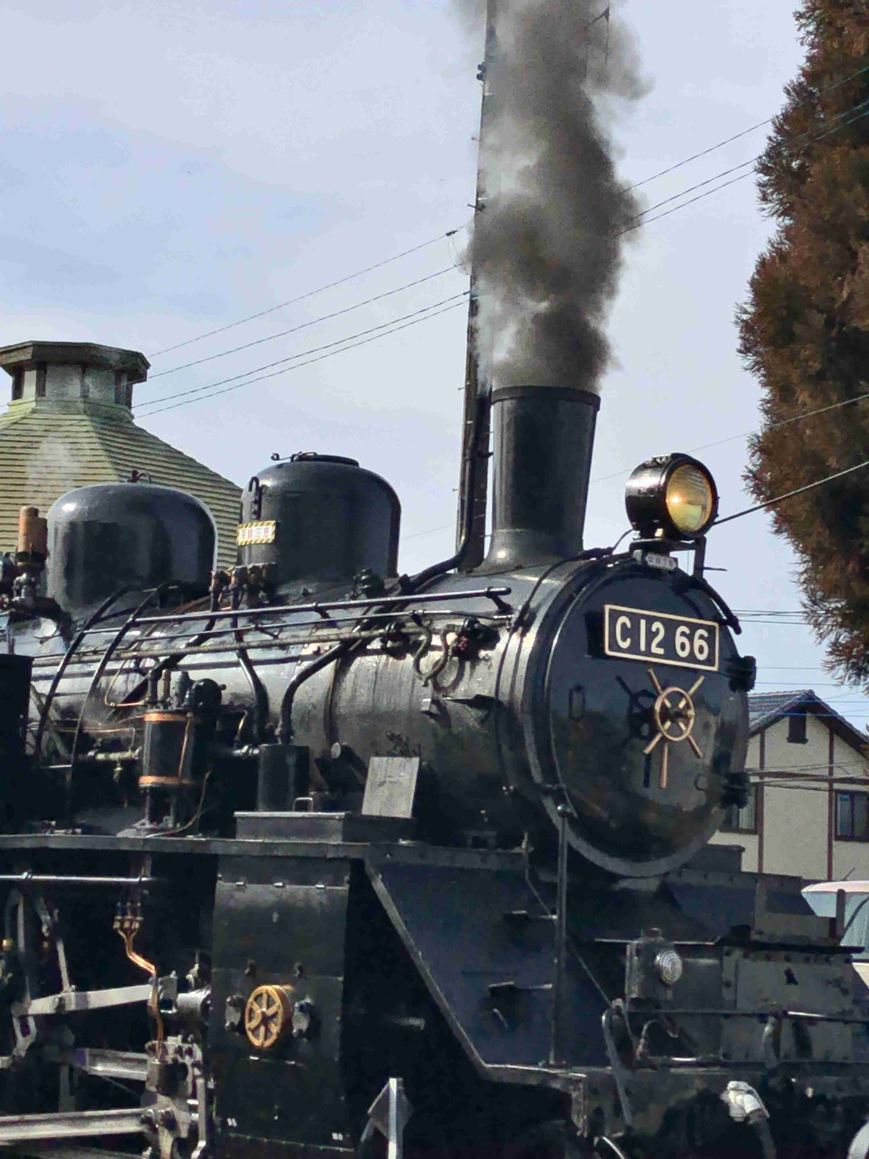 あなたが撮ったベストショット