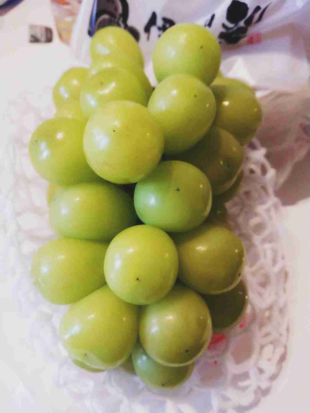 あなたが撮ったベストショット