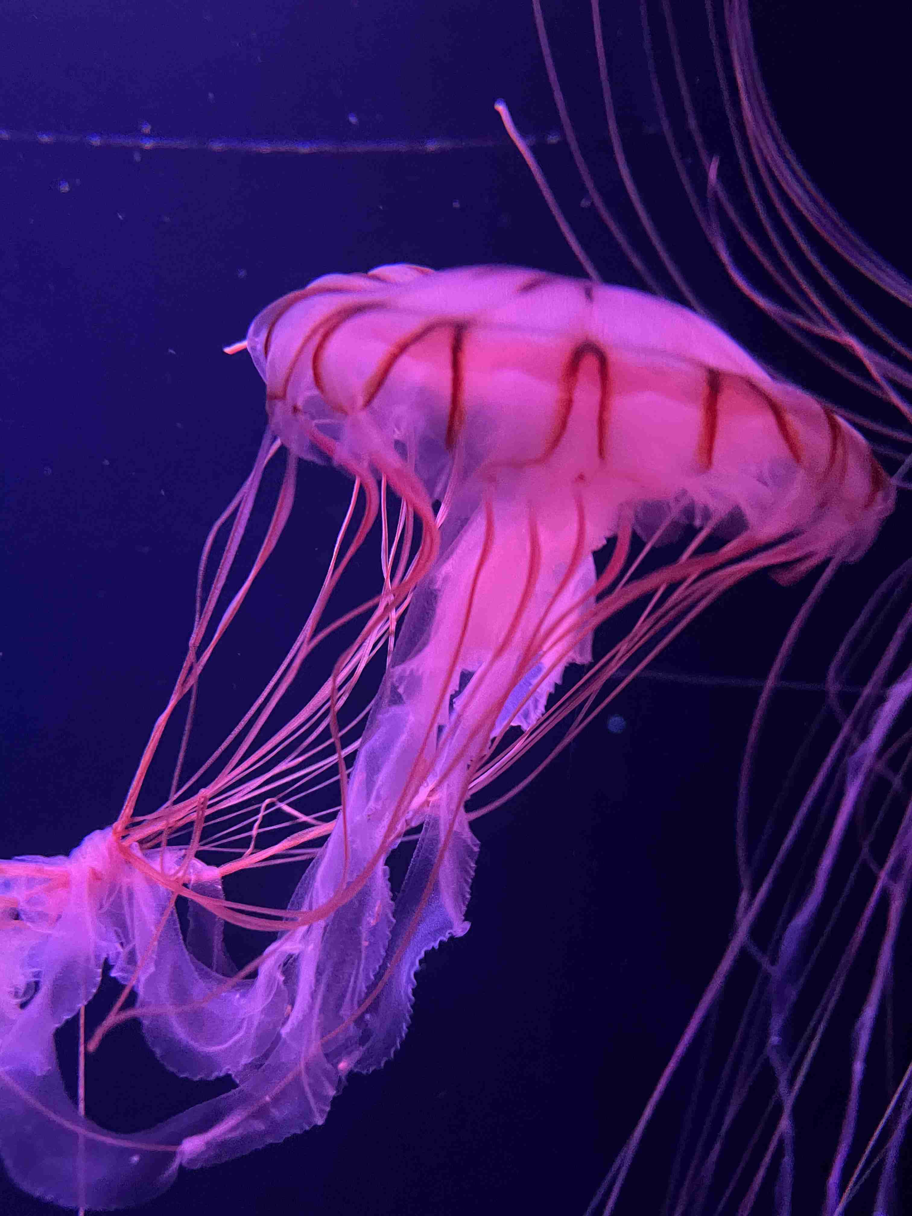 あなたが撮ったベストショット