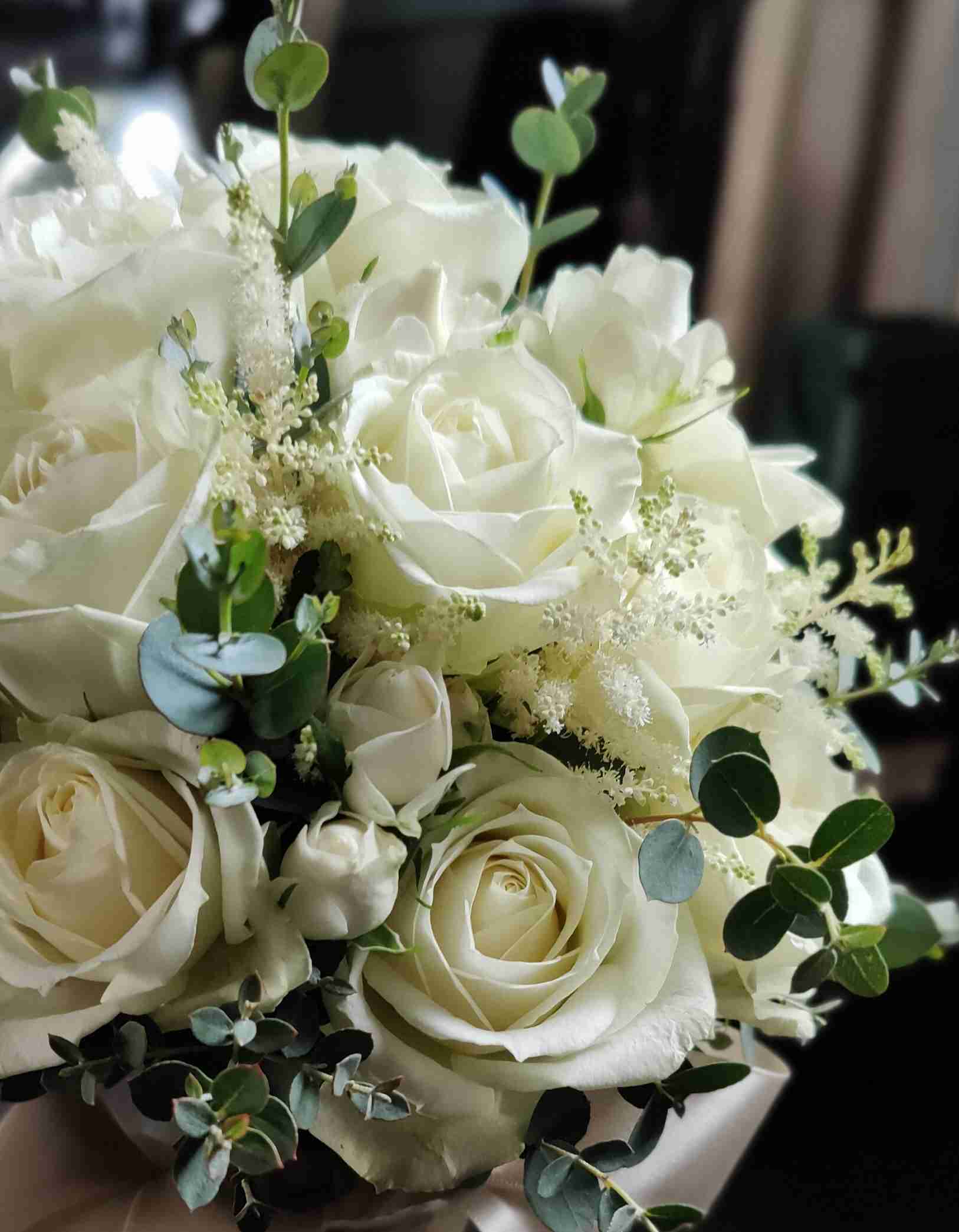 あなたが撮ったベストショット