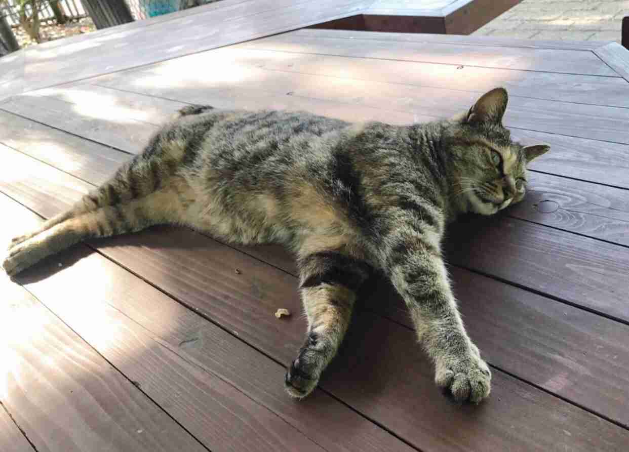 あなたが撮ったベストショット