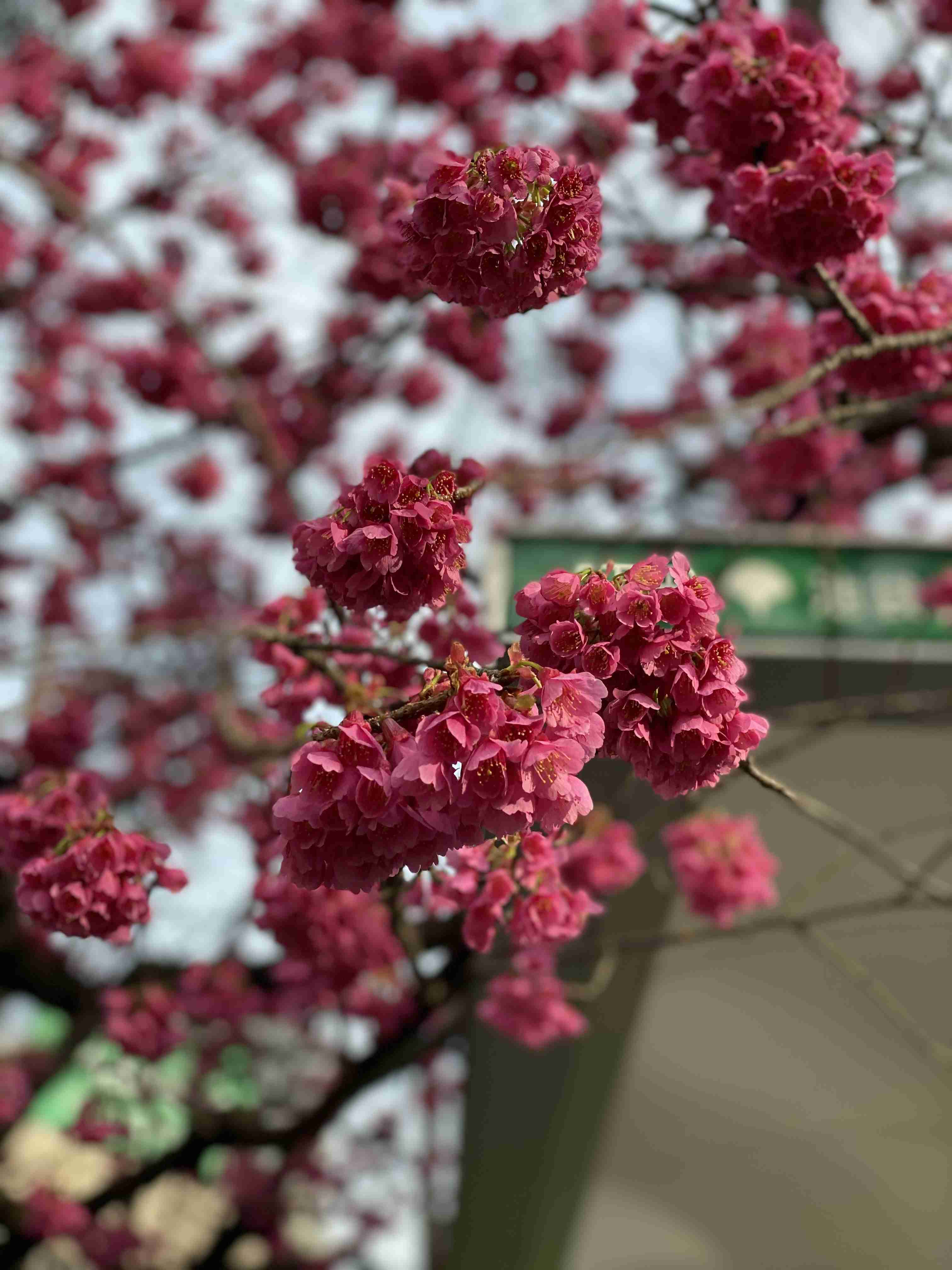 あなたが撮ったベストショット