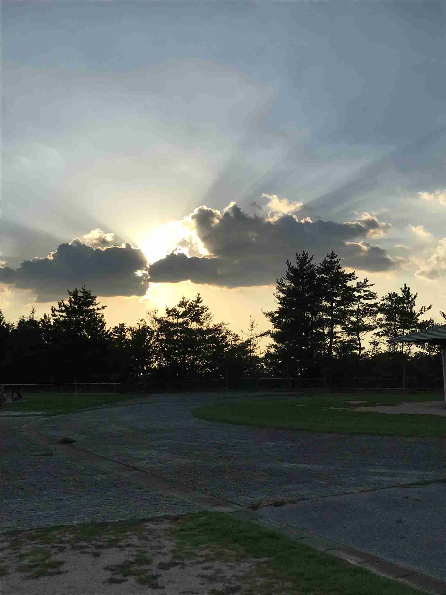 あなたが撮ったベストショット