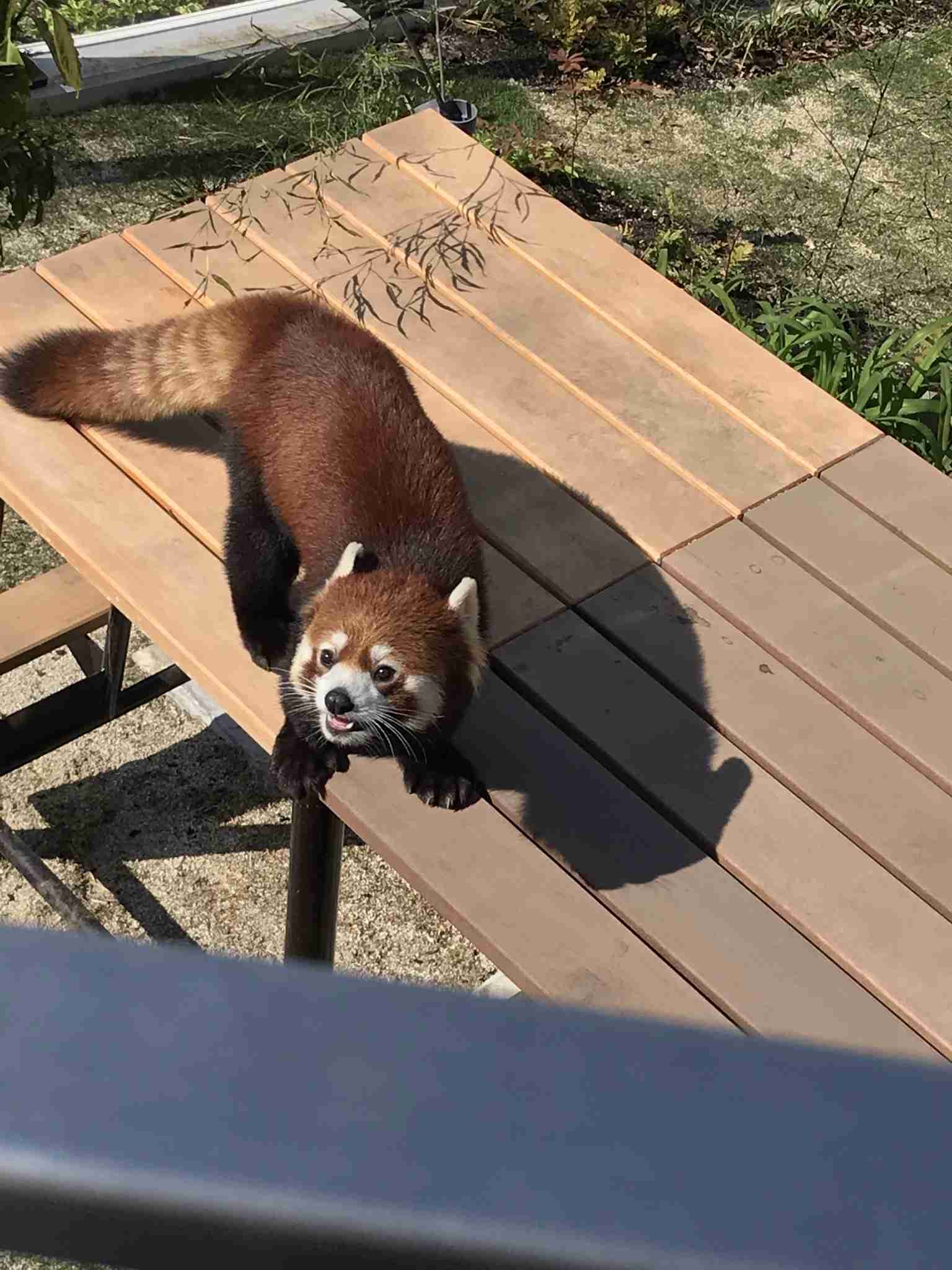 あなたが撮ったベストショット