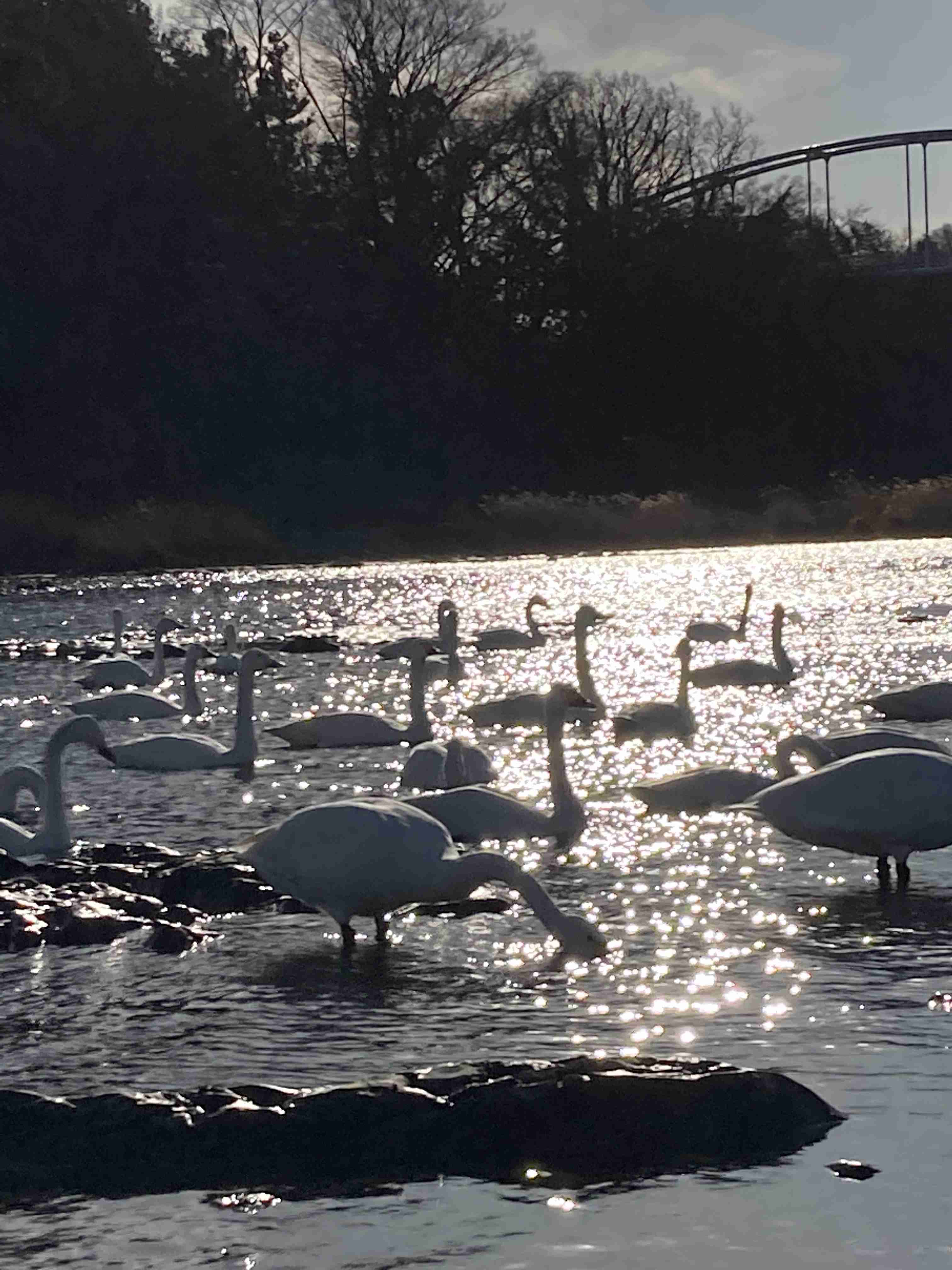 あなたが撮ったベストショット