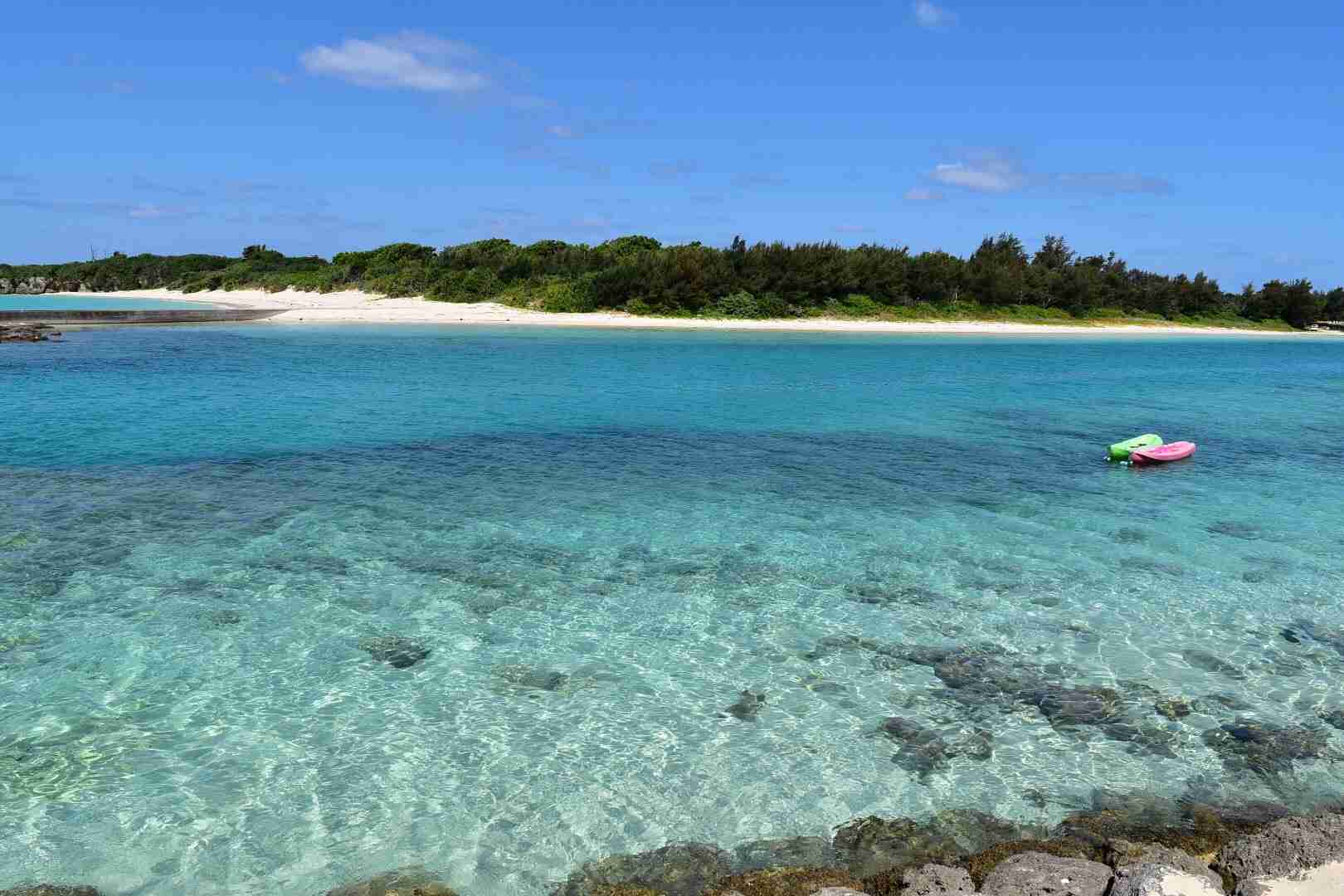 あなたが撮ったベストショット