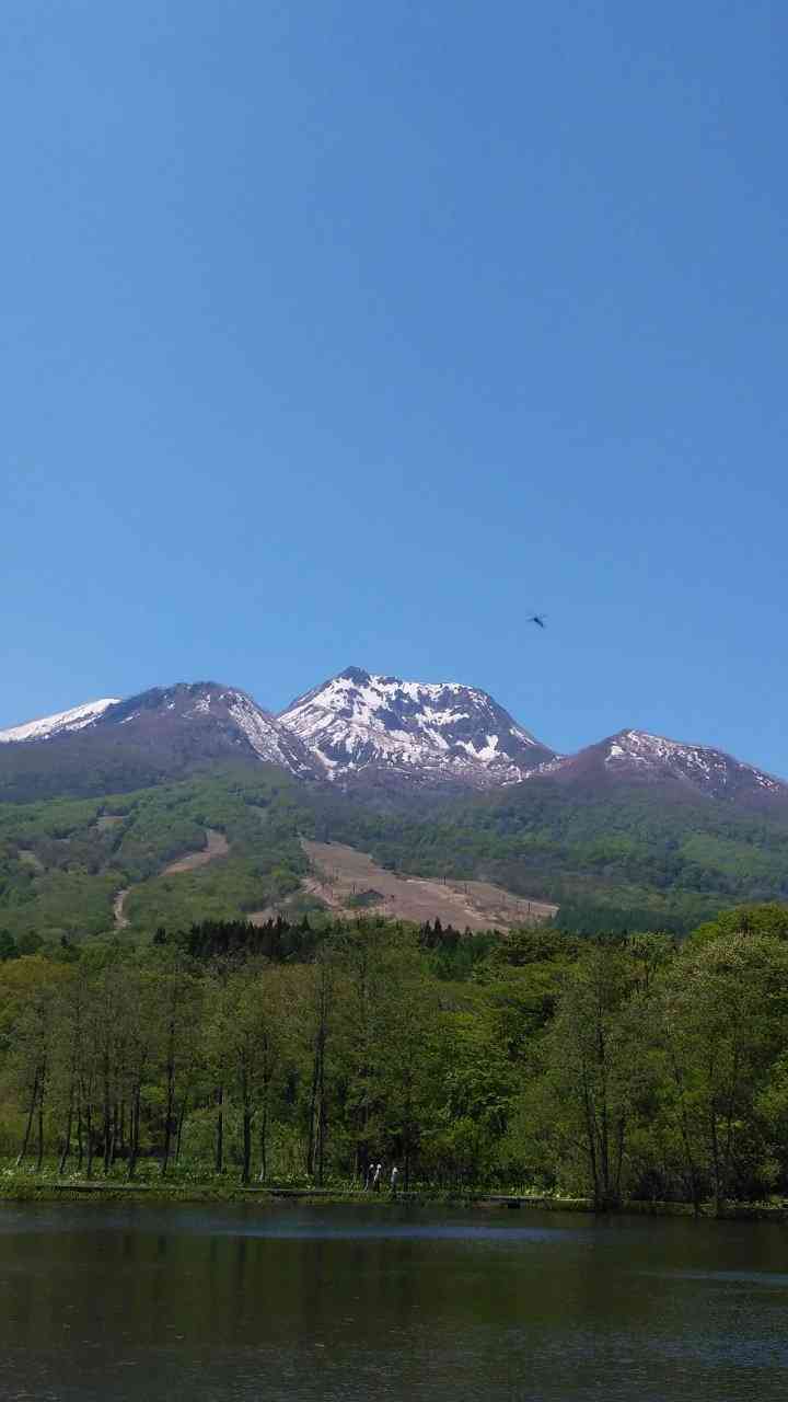 あなたが撮ったベストショット