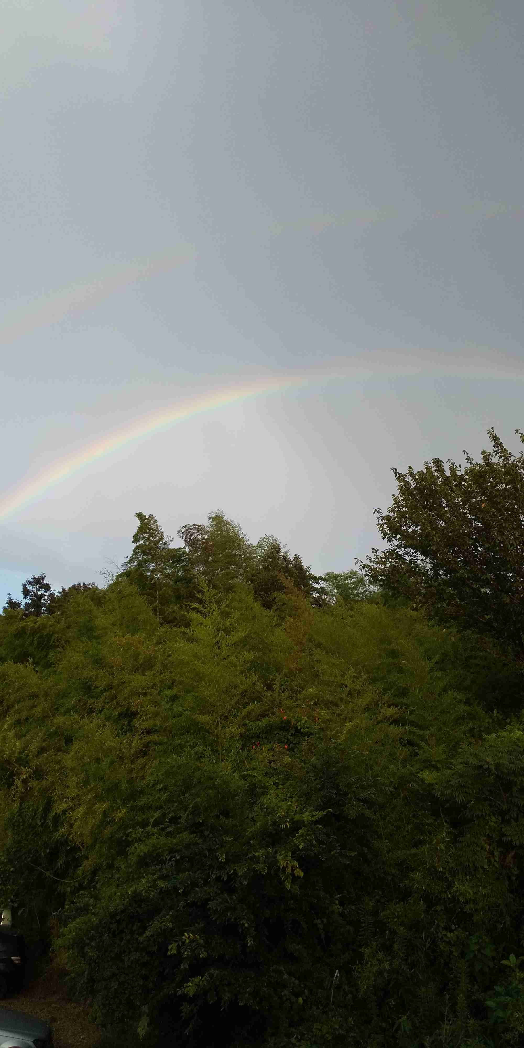 あなたが撮ったベストショット