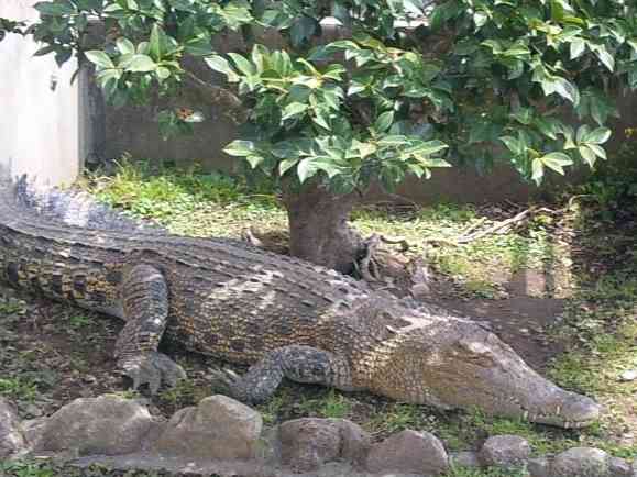 あなたが撮ったベストショット